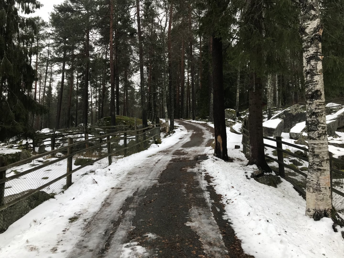Path between sheep and goats
