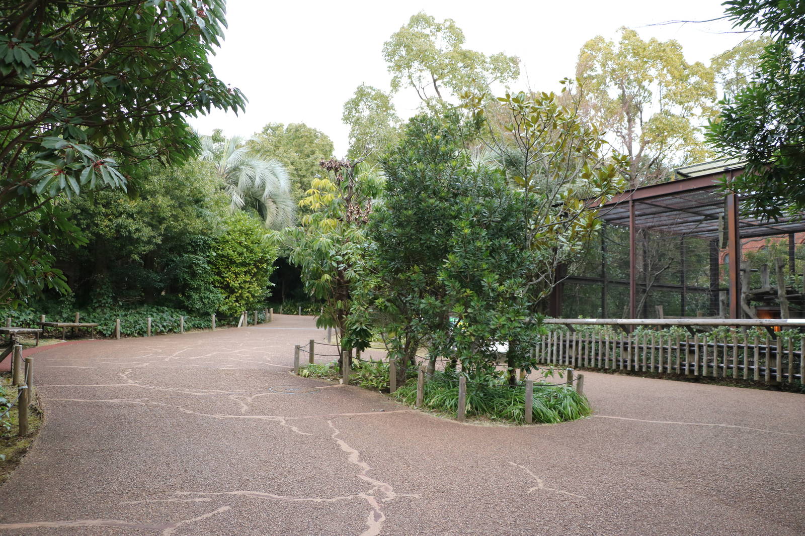 Path by clouded leopard enclosure, February 2016