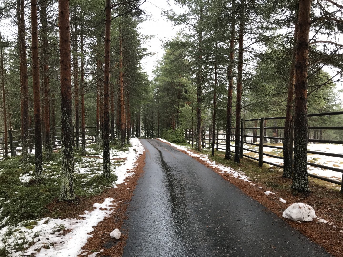 Path by elk enclosures