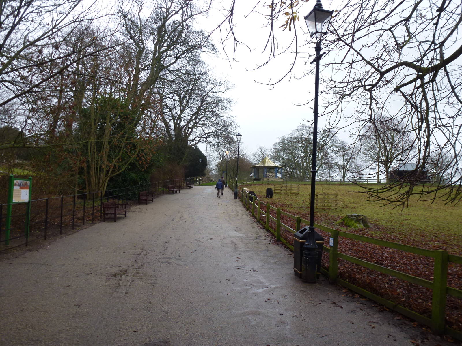 Path by the ponies, January 2014