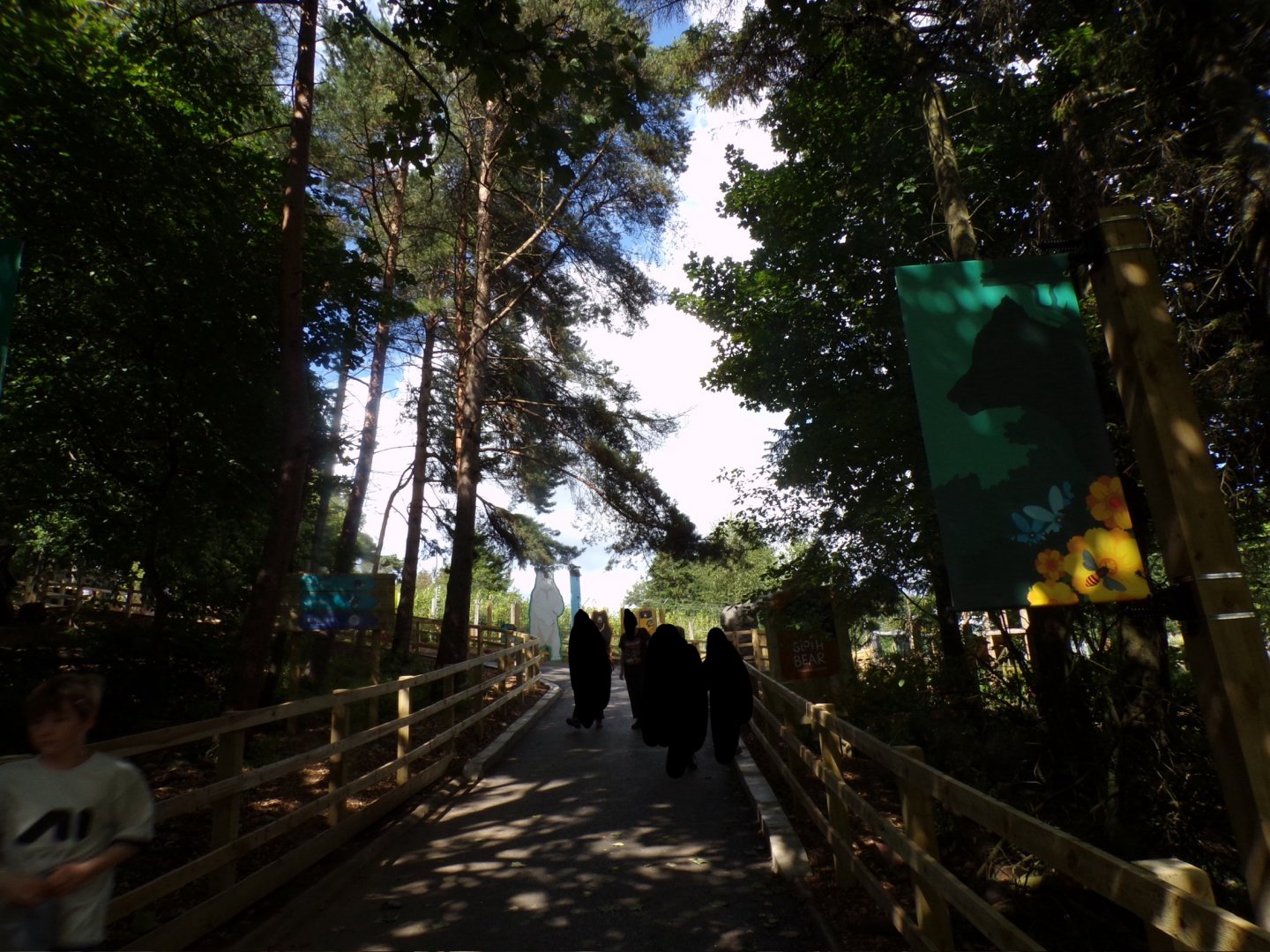 Path coming up to new sloth bear enclosure 18.7.25