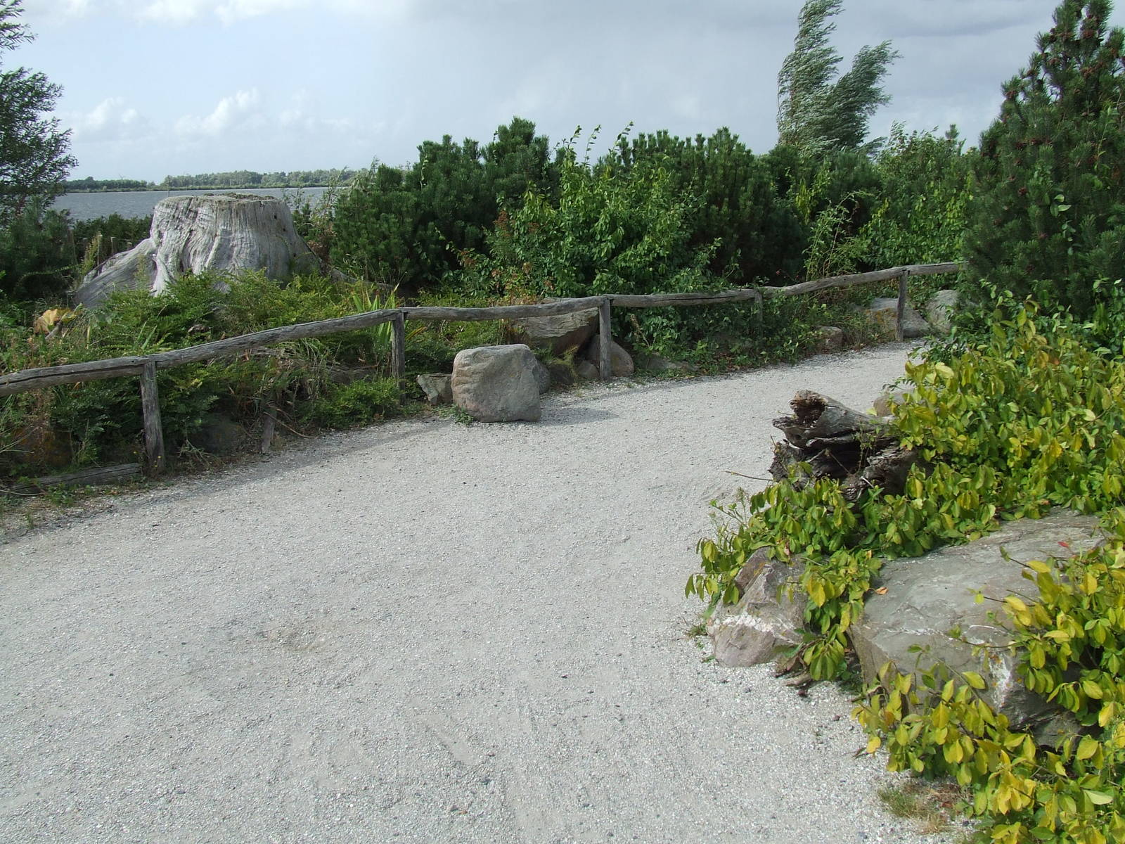 Path, Dolphin Lagoon