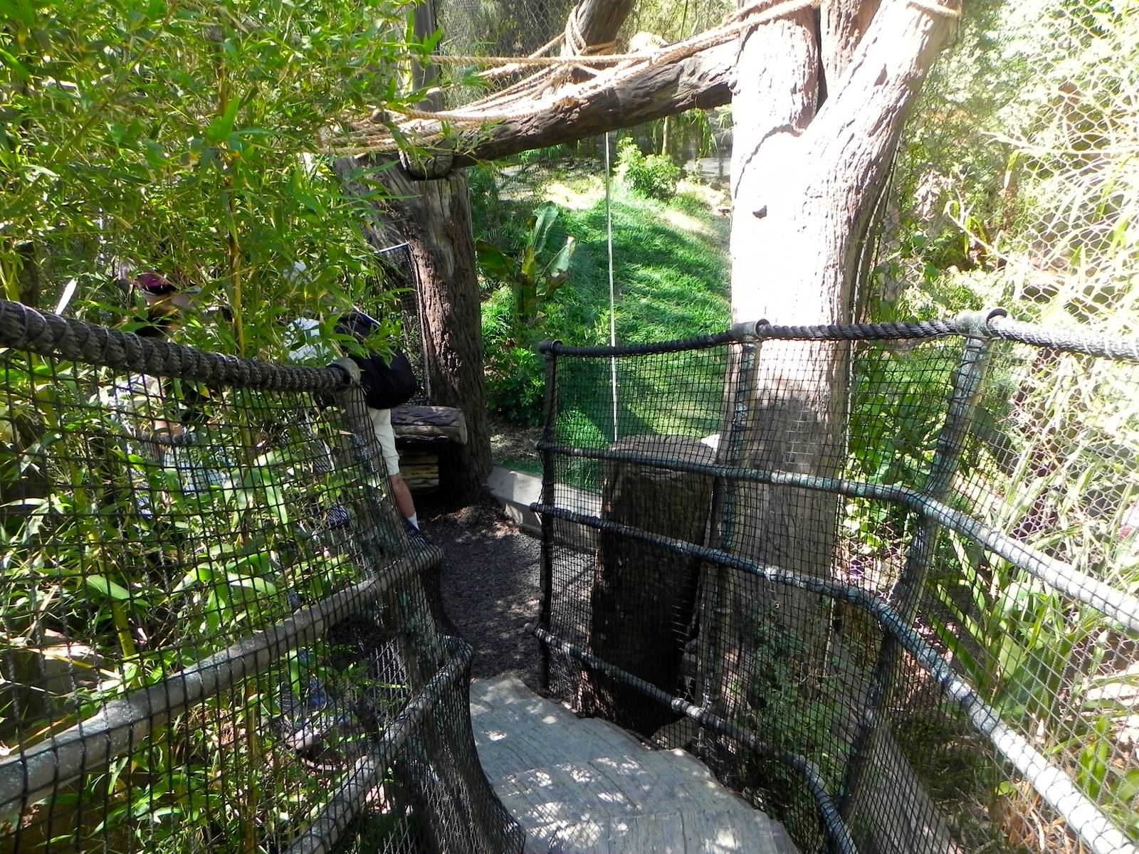 Path down to first viewing area of yard 1 of Tiger Trail