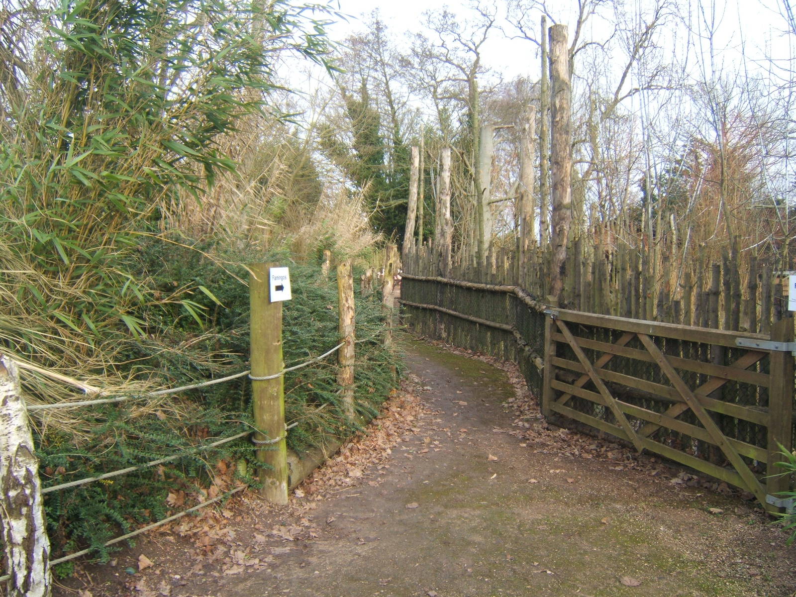 Path down to Flamingo House