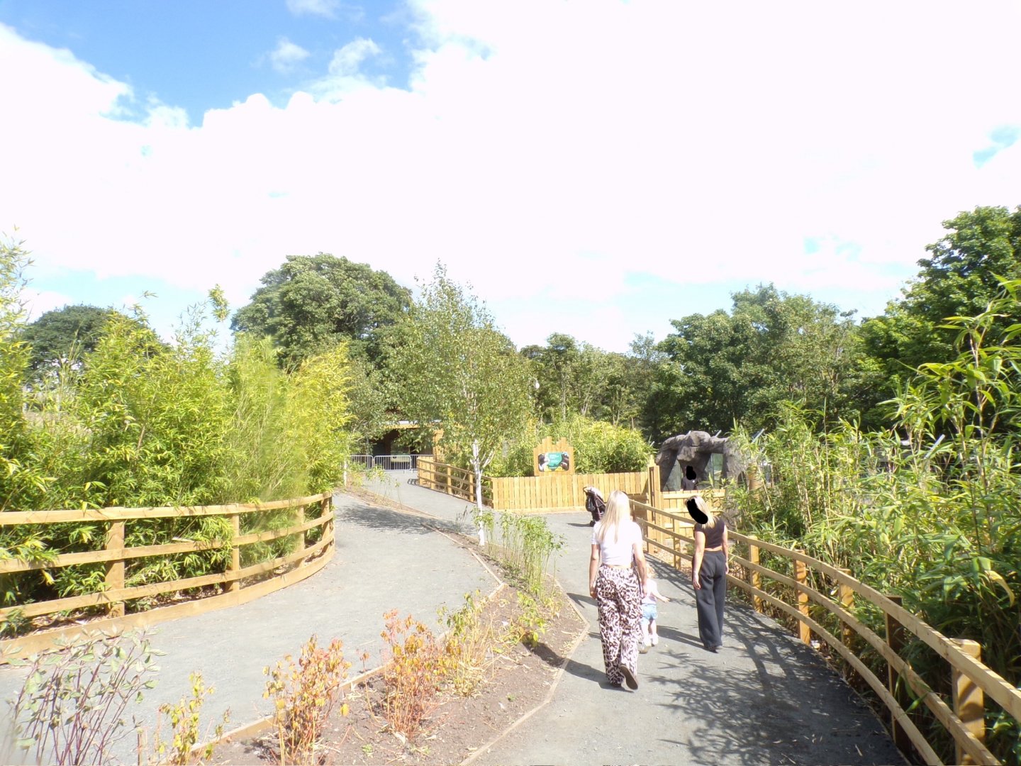 Path down to sloth bear viewing 18.7.25