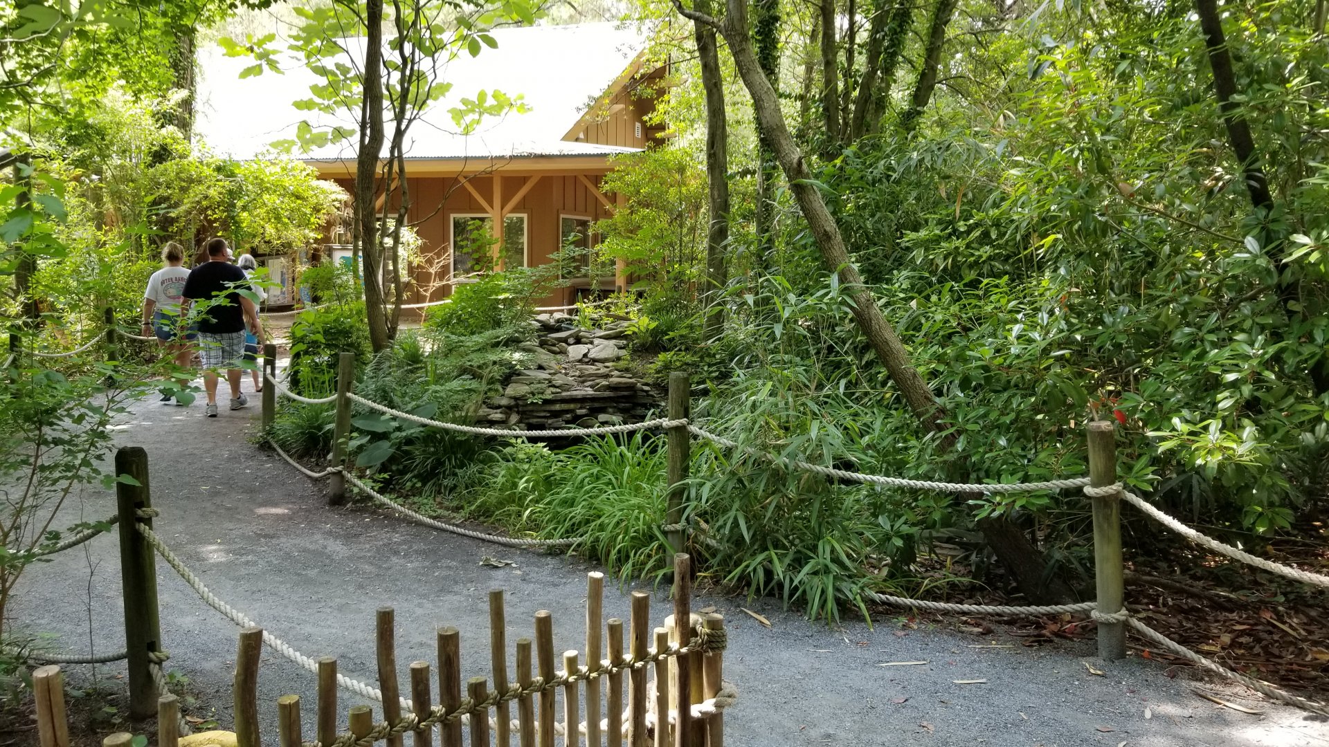 Path from alligators to rear of Morgan building