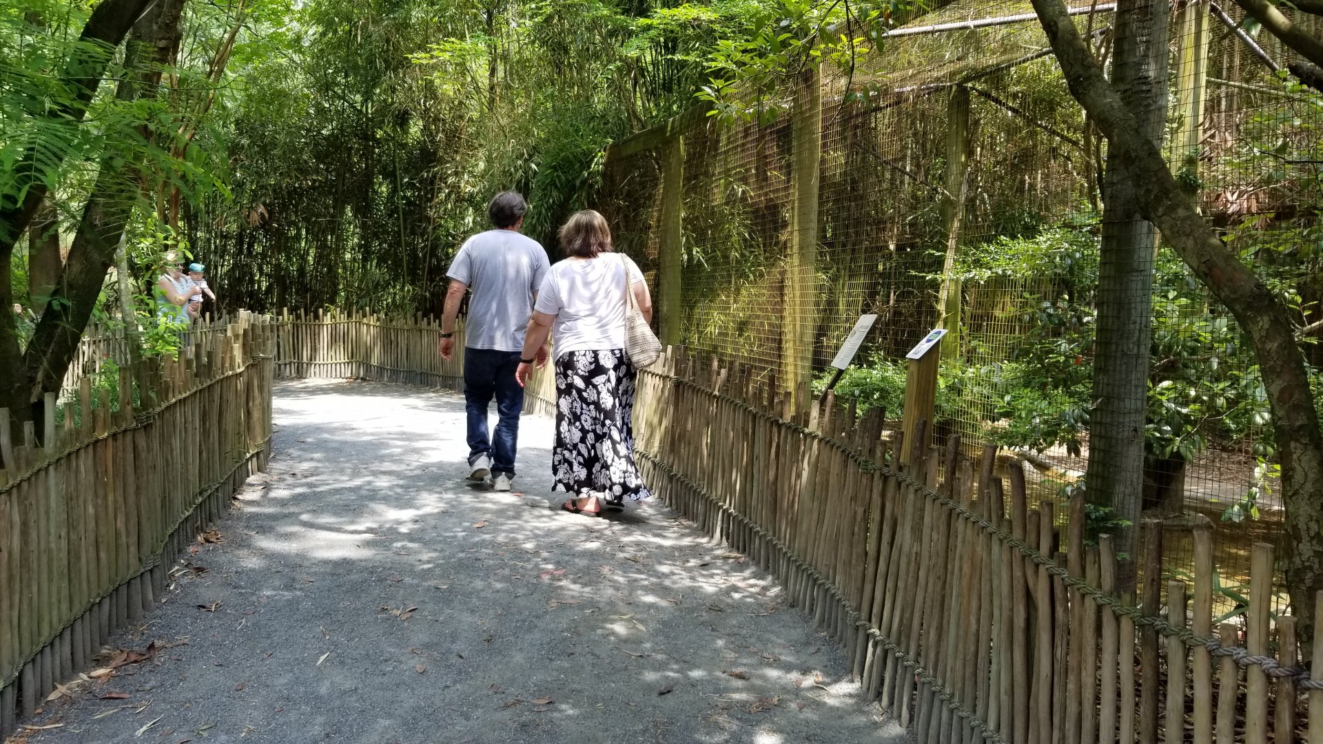 Path from conures to alligators