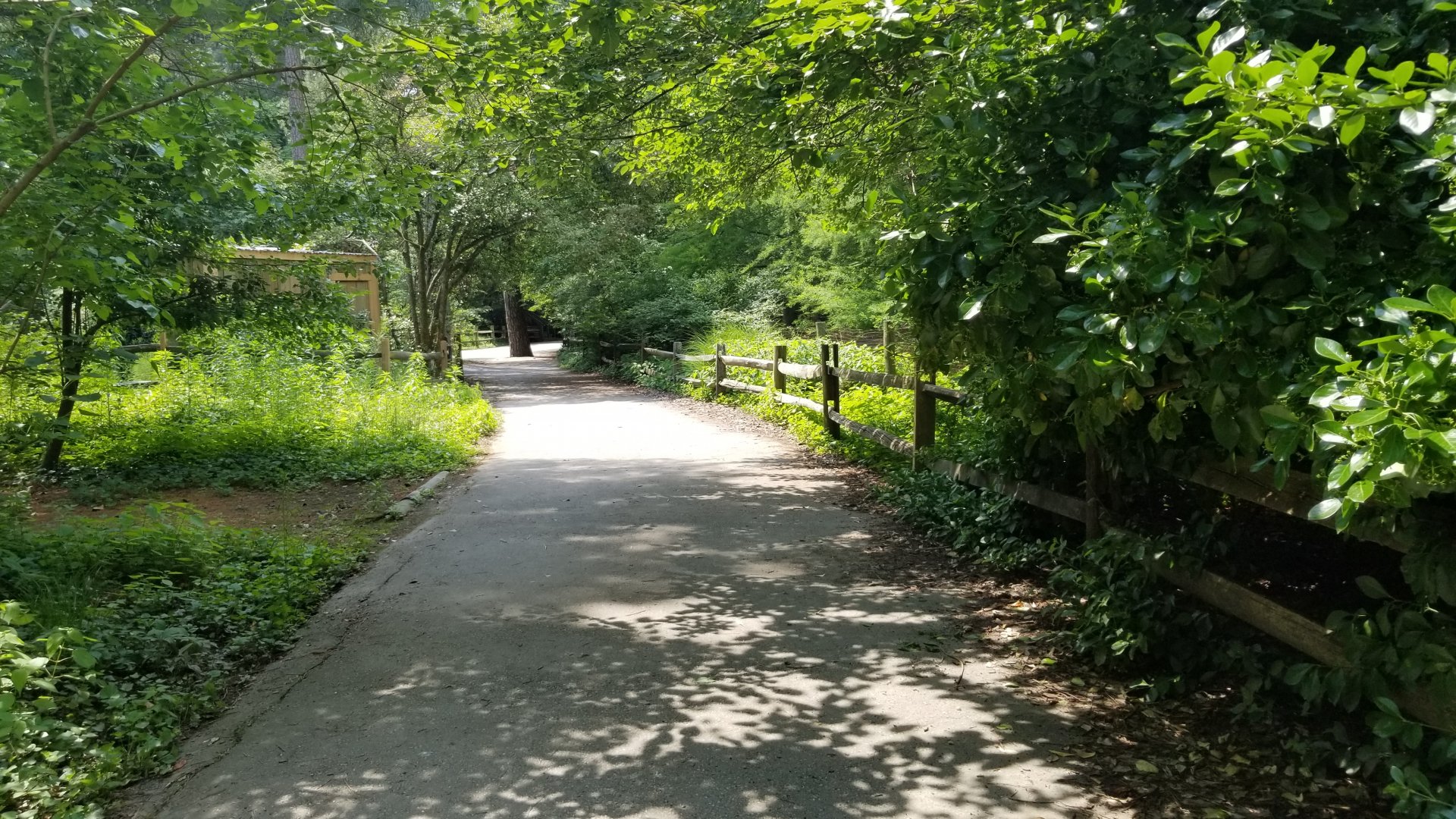 Path from cranes to owl