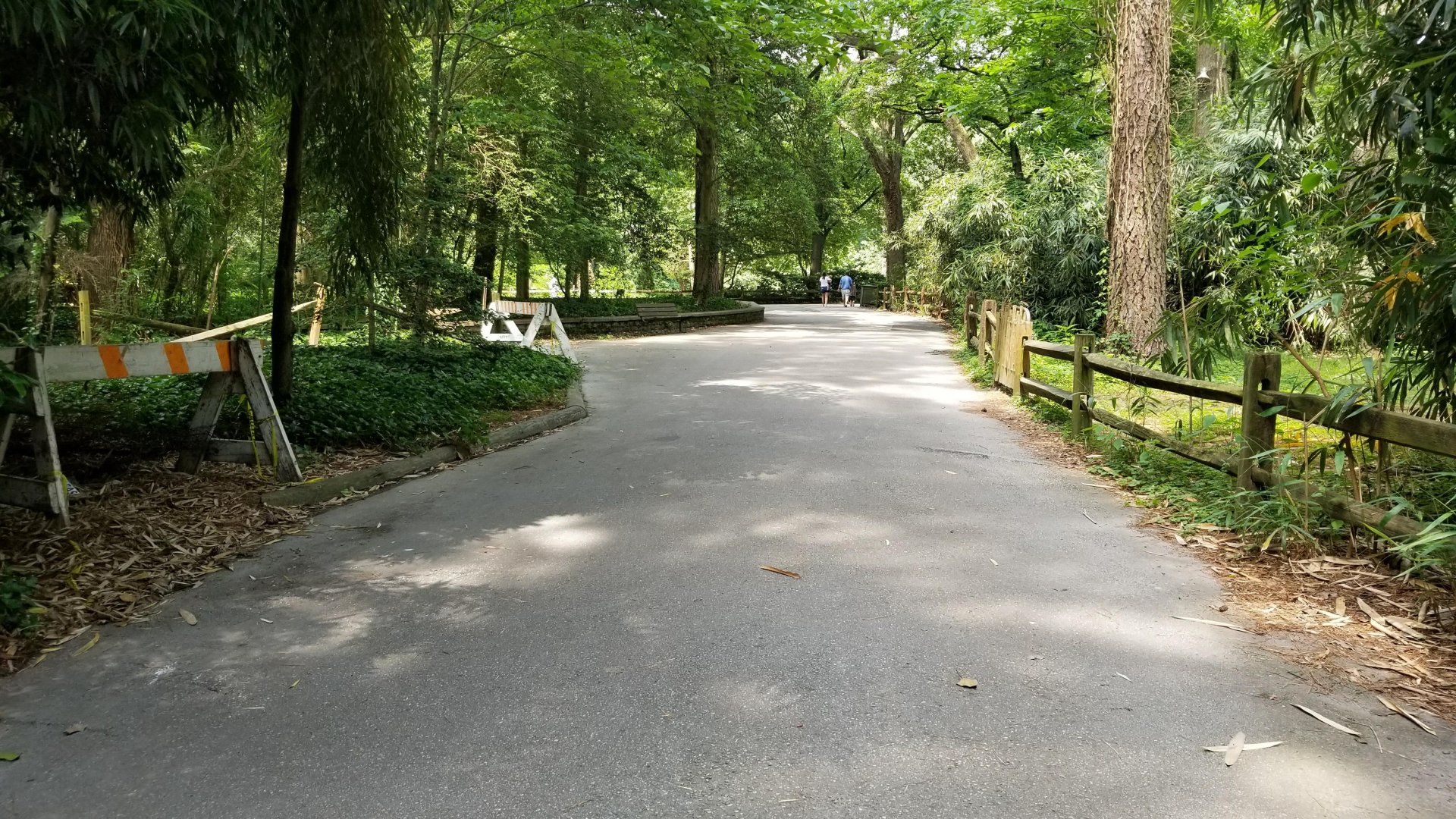 Path from jaguar enclosure