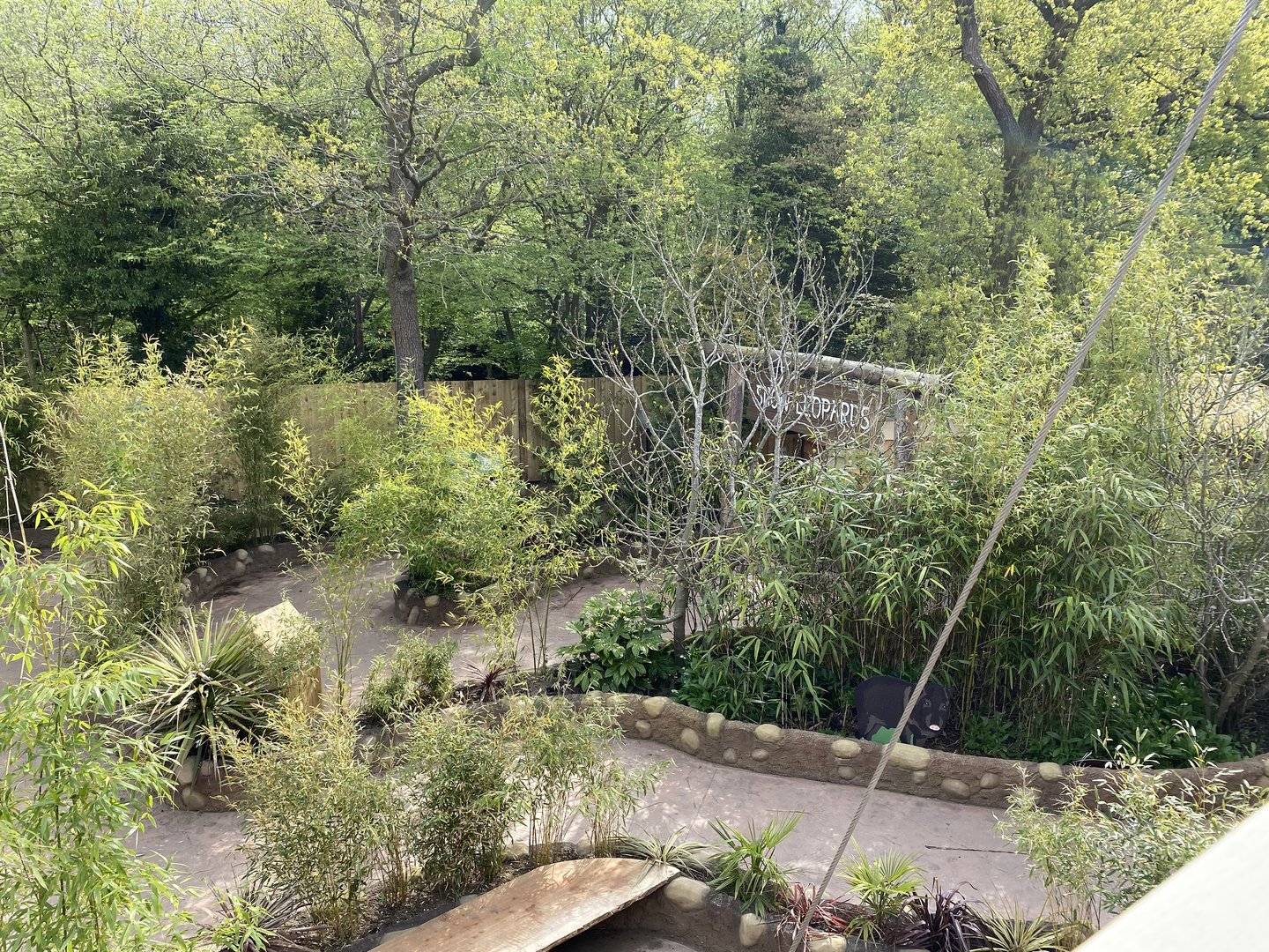 Path from sun bears to snow leopards PWP