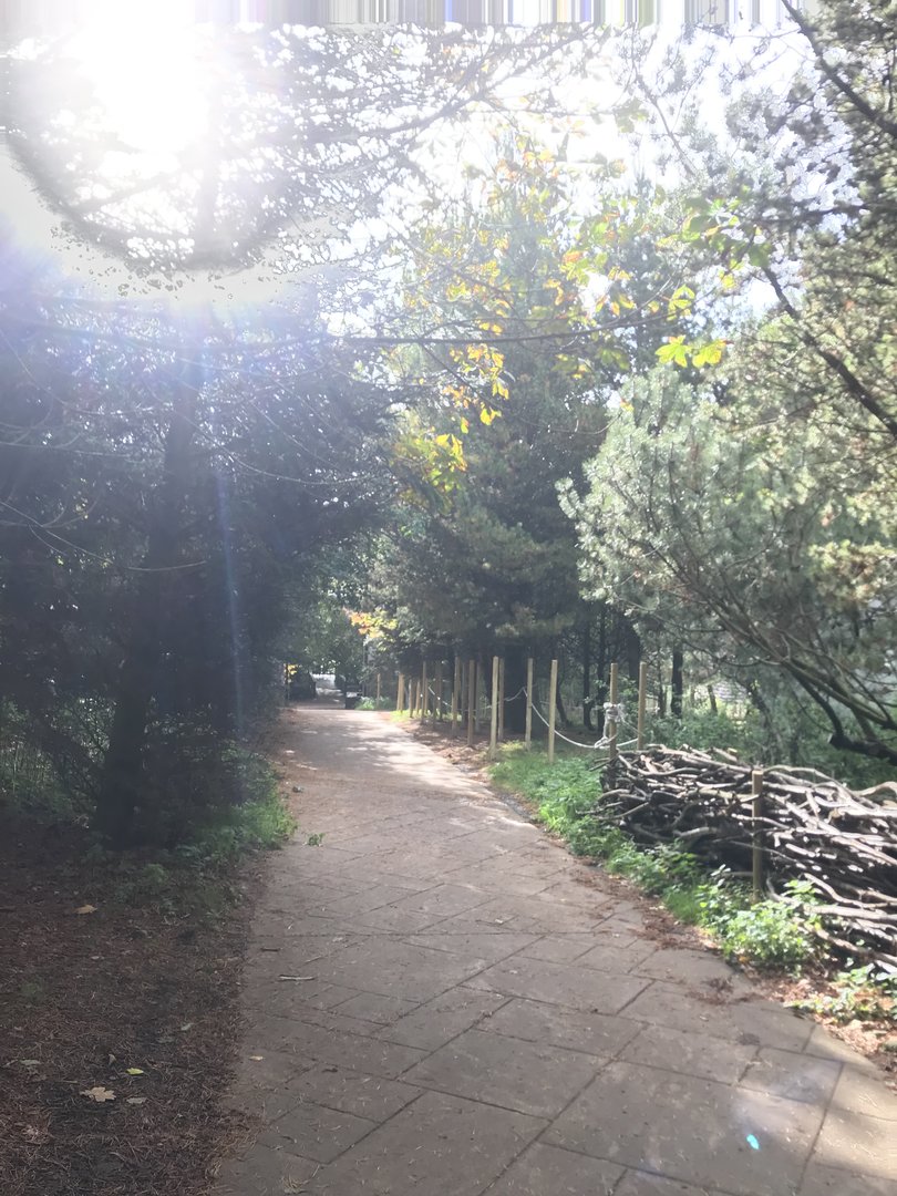 Path going down to asiatic lion enclosure