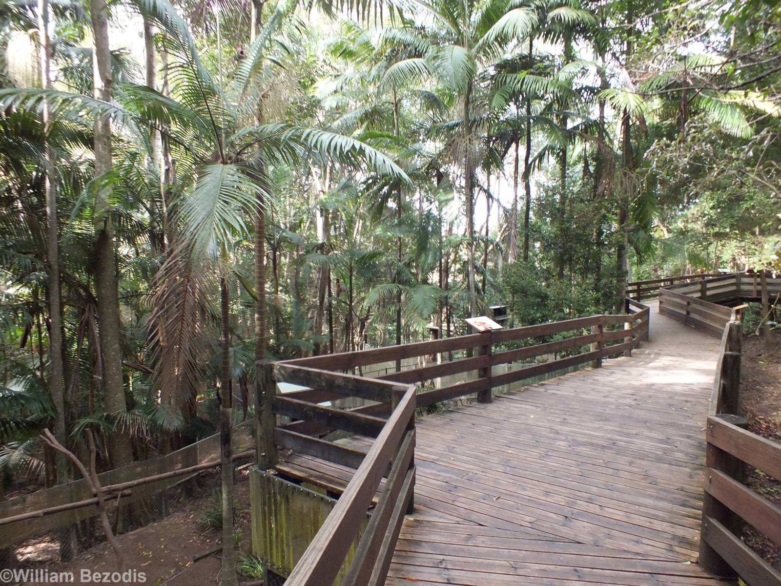 Path Going Past Tree Kangaroo Enclosures (on left)