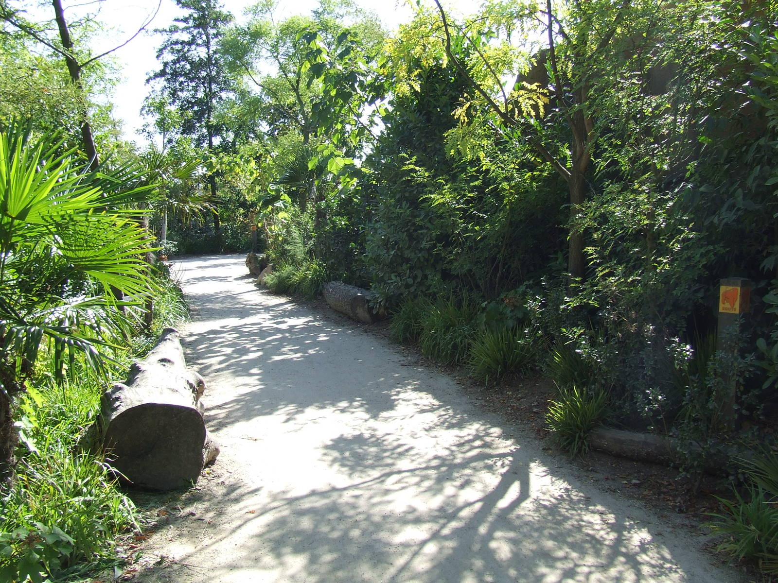 Path, Gorilla enclosure