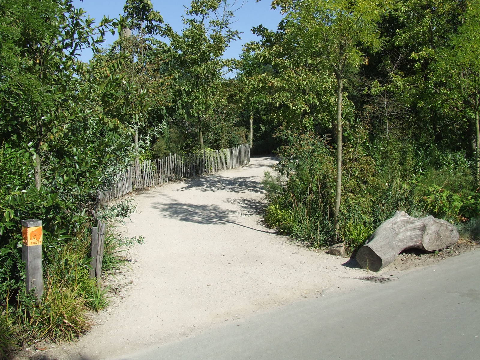 Path, Gorilla enclosure