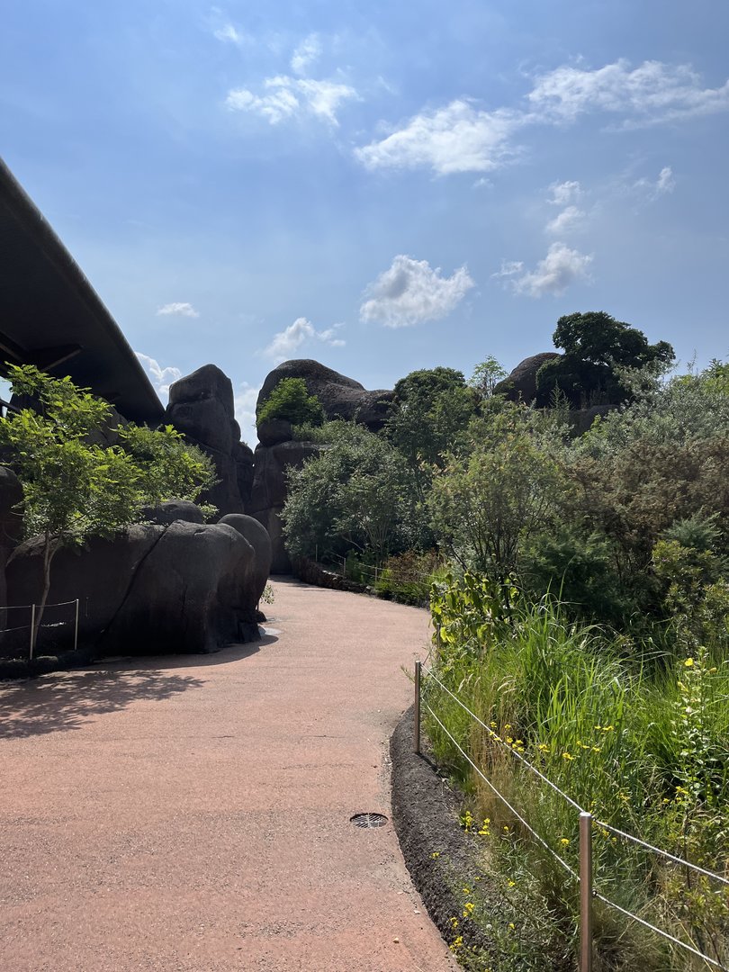 Path heading up to the Savanna restaurant 6.7.23
