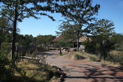 path in Giants Of The Savannah