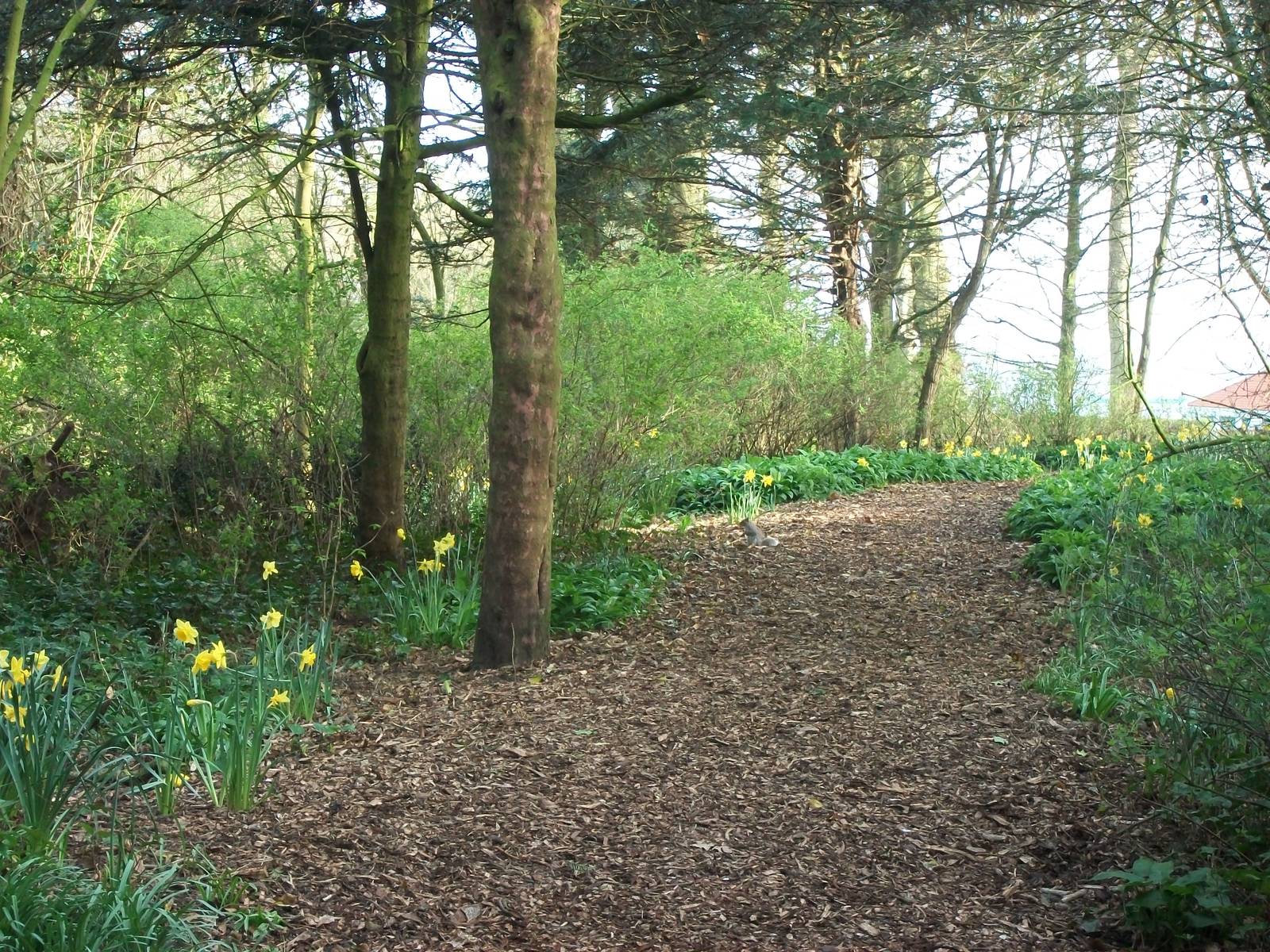 Path in Sewerby Hall and Gardens, 11th April 2014