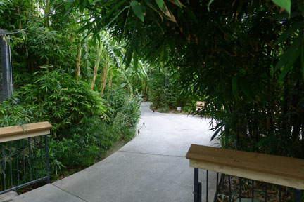 path in South America