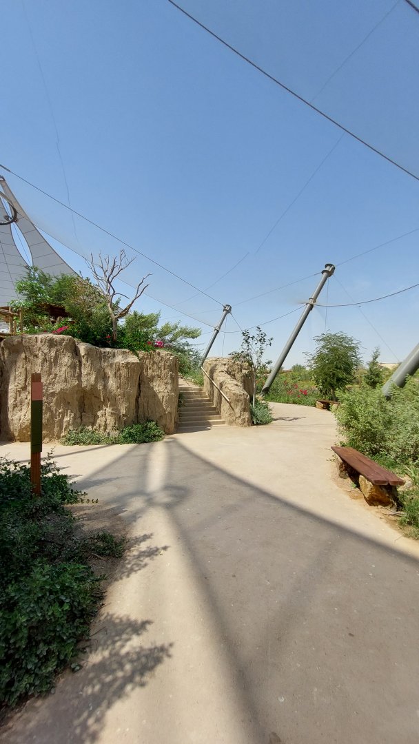path in the Birds of Africa Aviary