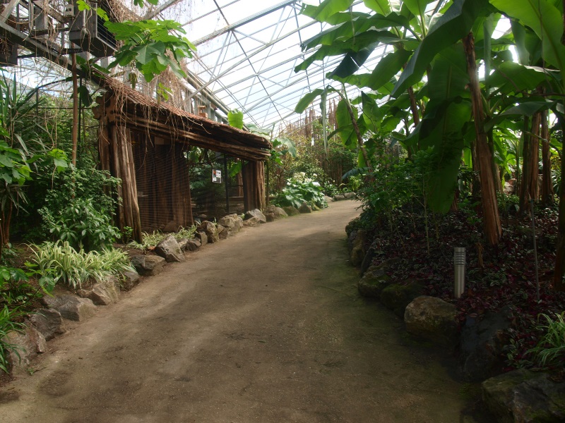 Path in the Tropics Hall (April 19th, 2015)