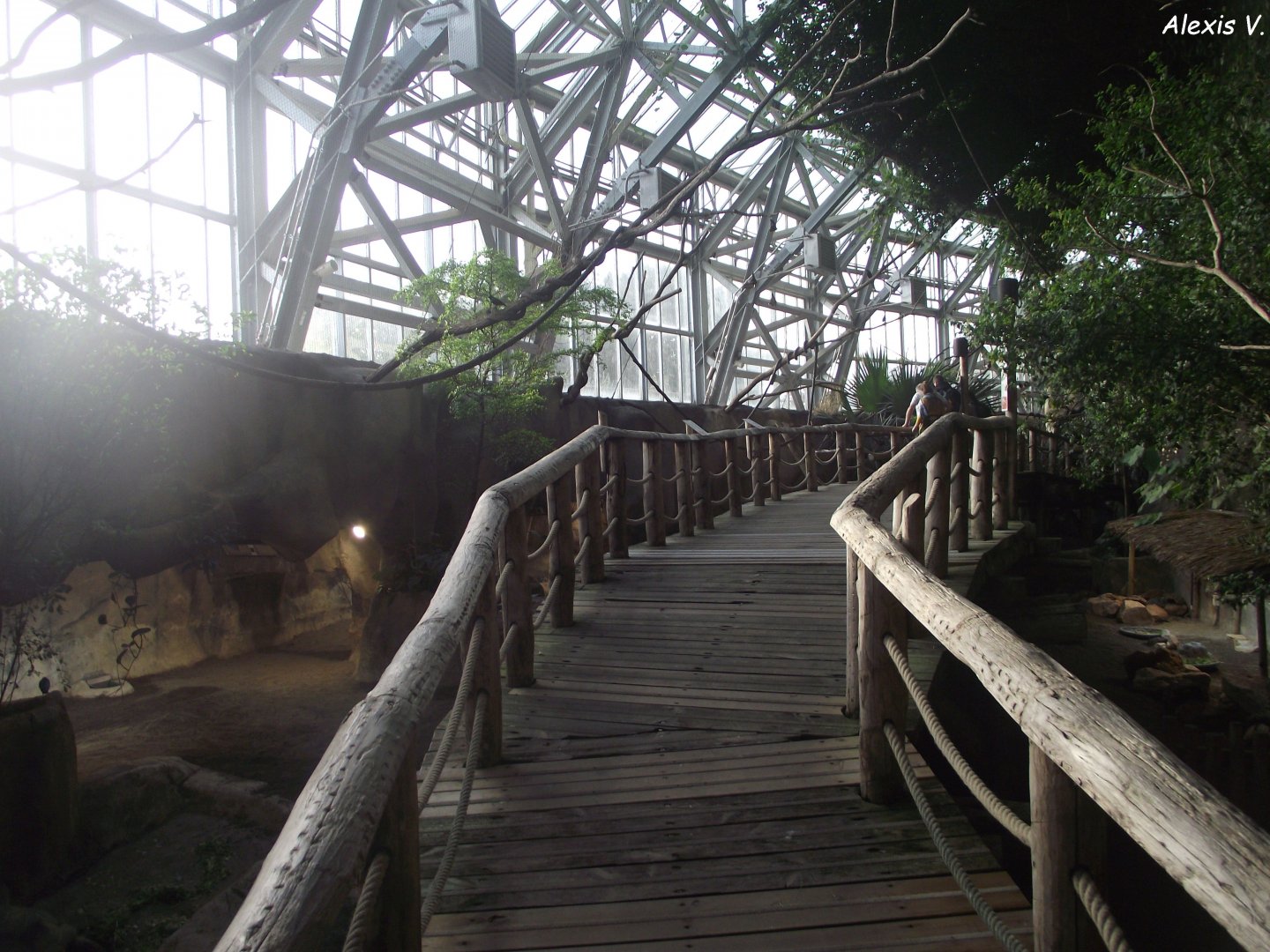 Path inside the Fruit Bat aviary - Zooparc de Beauval - 13/10/2024
