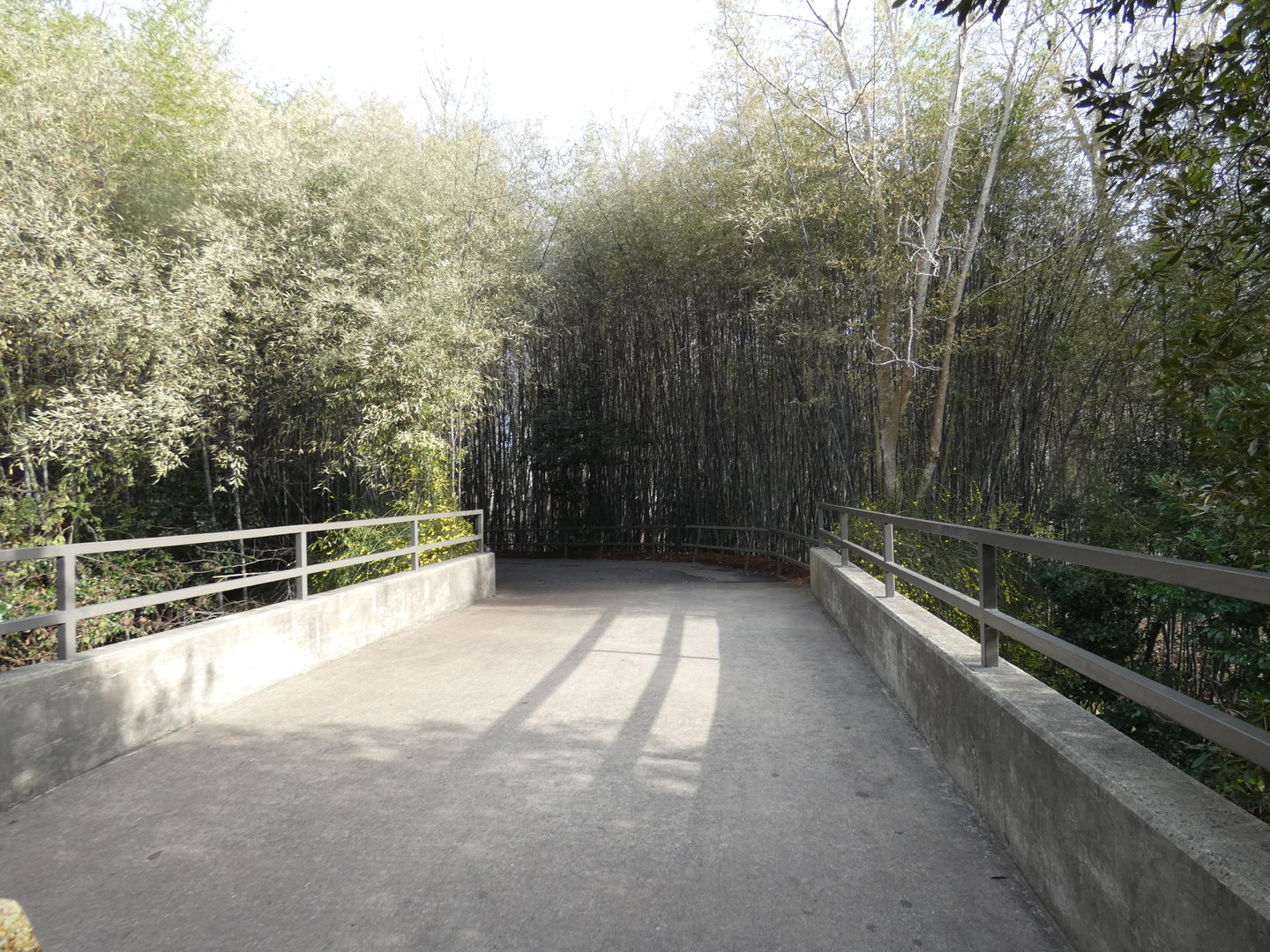 path into Africa section