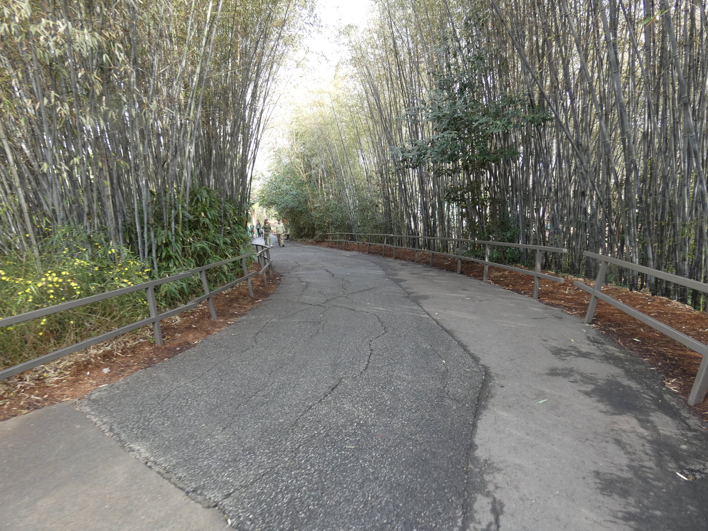 Path into Africa section