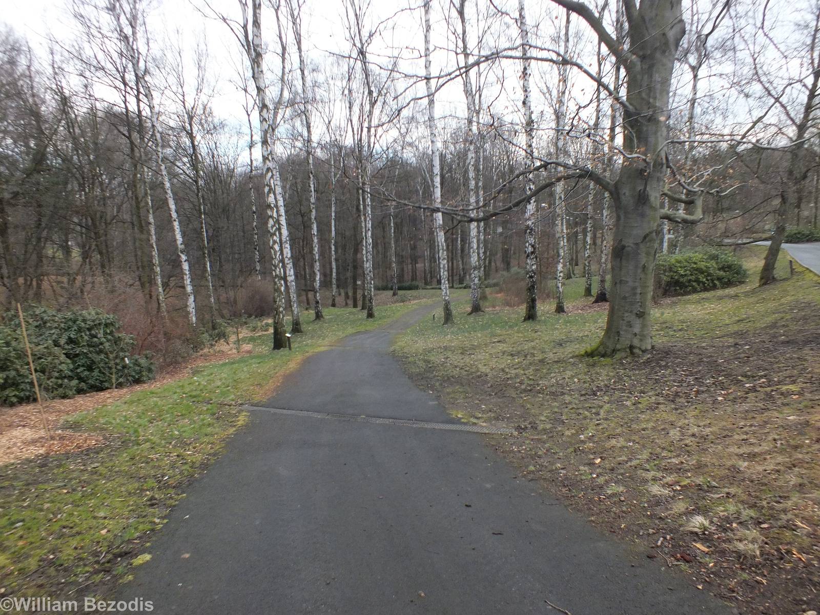 Path into the Zoo's Woodland Area