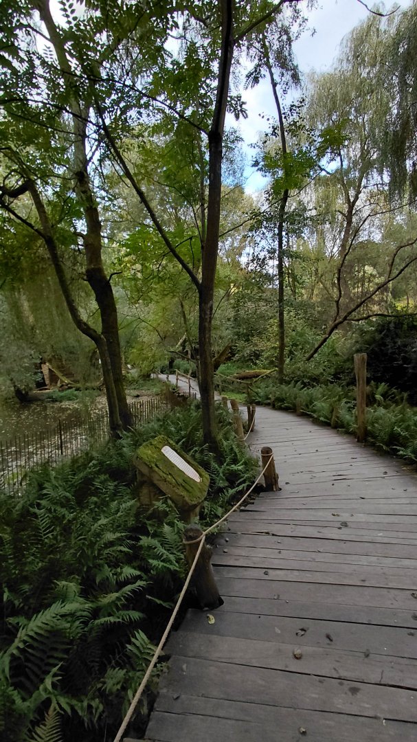Path leading next to the capybara pond