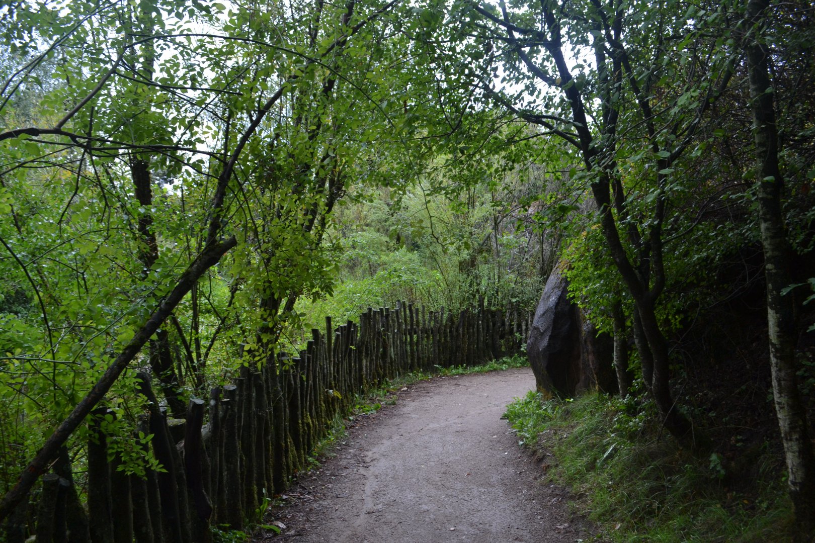 Path leading to gorilla enclosure in Givskud Zoo