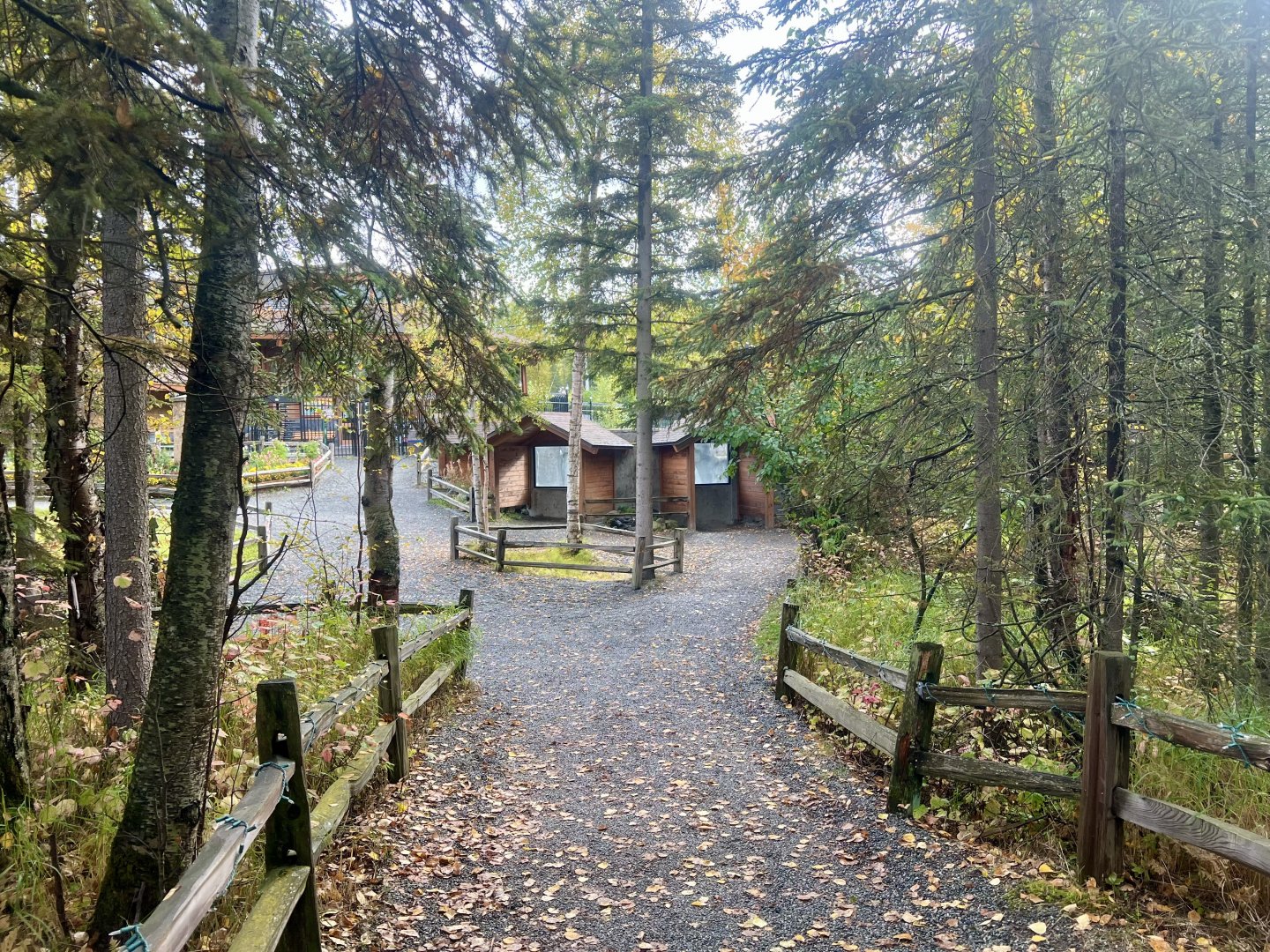 Path leading to Harbor Seal and exit