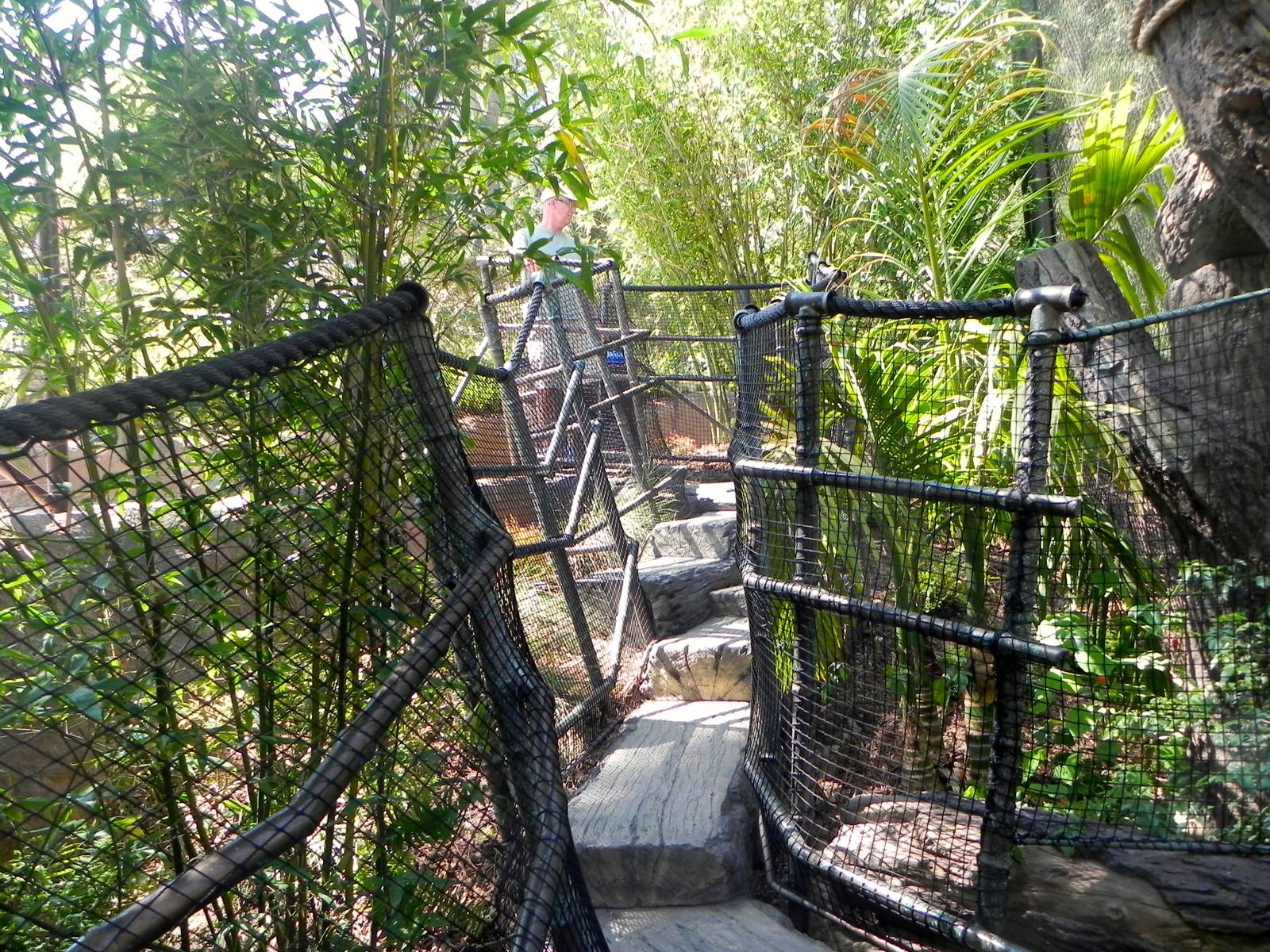 Path leading up from first viewing area yard 1 Tiger Trail