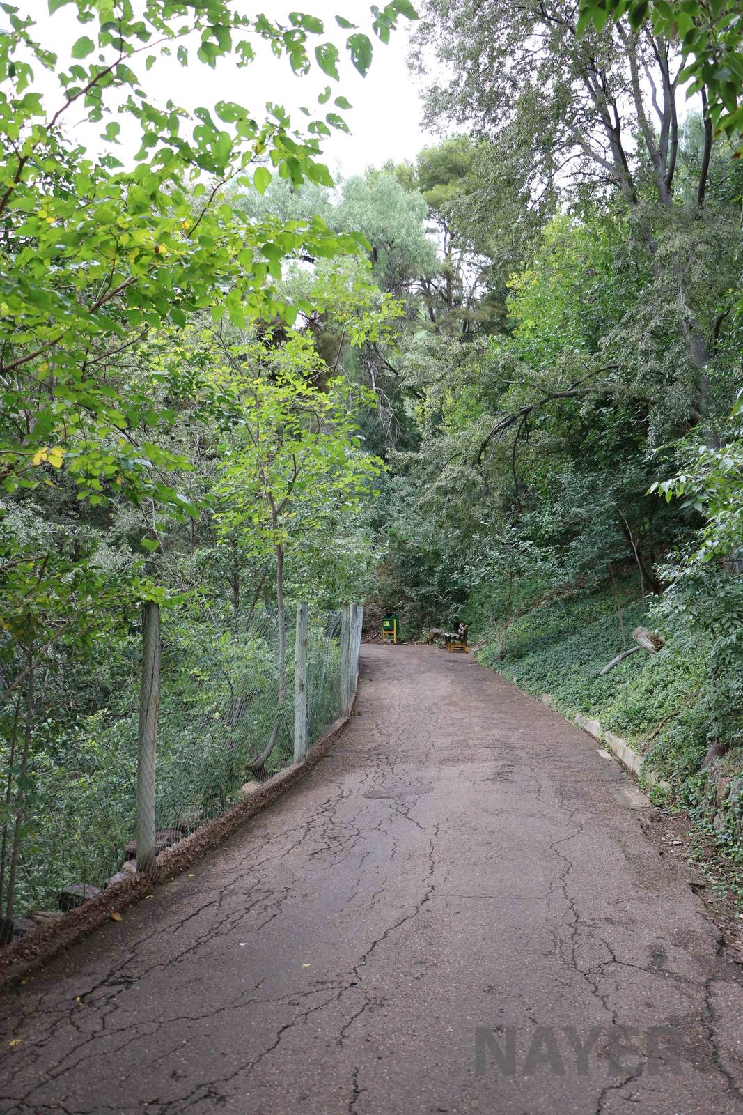 Path - Mendoza Zoo, April 2016