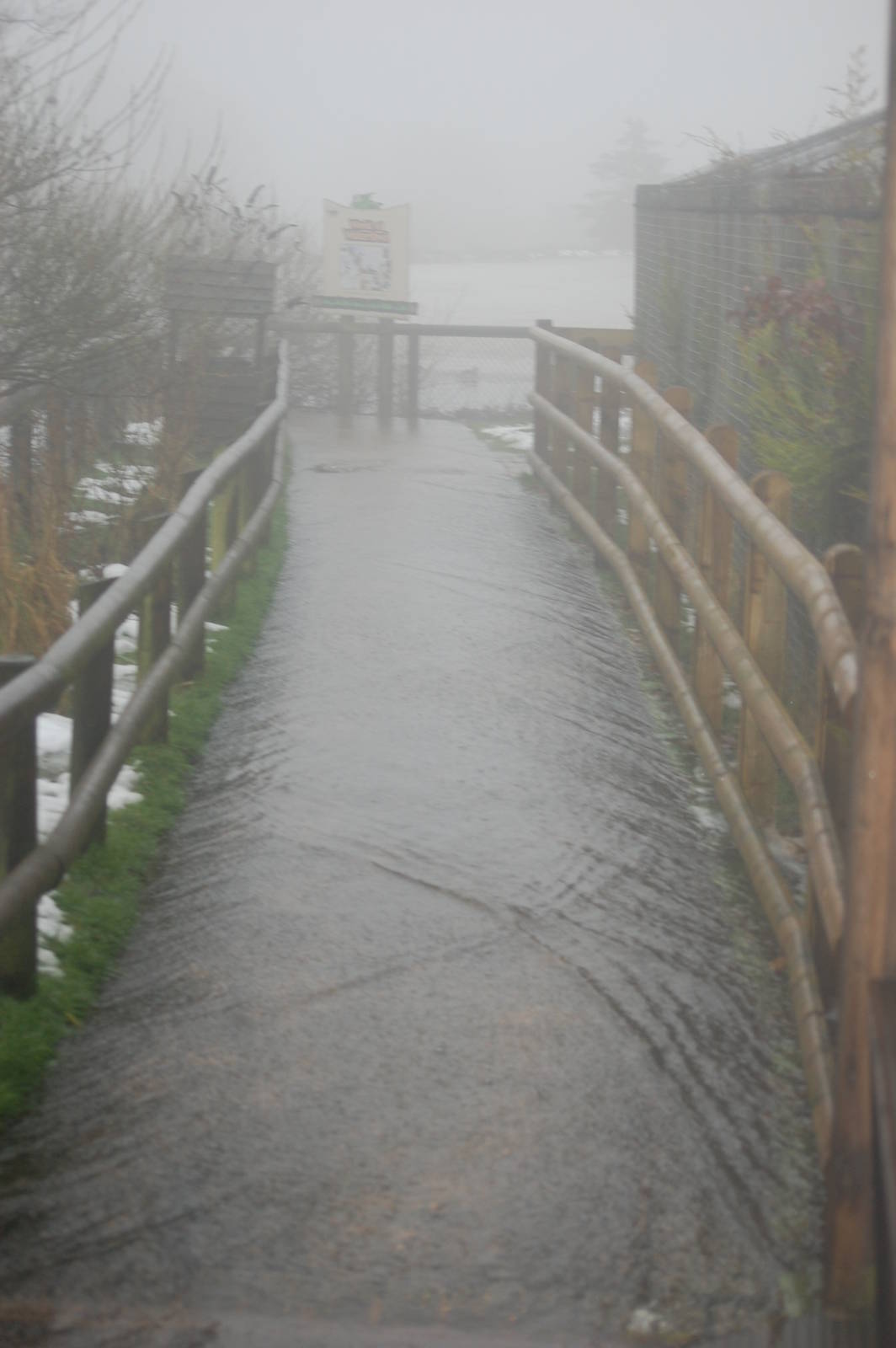 Path Next to "Pelican World" under 2 inches of water!