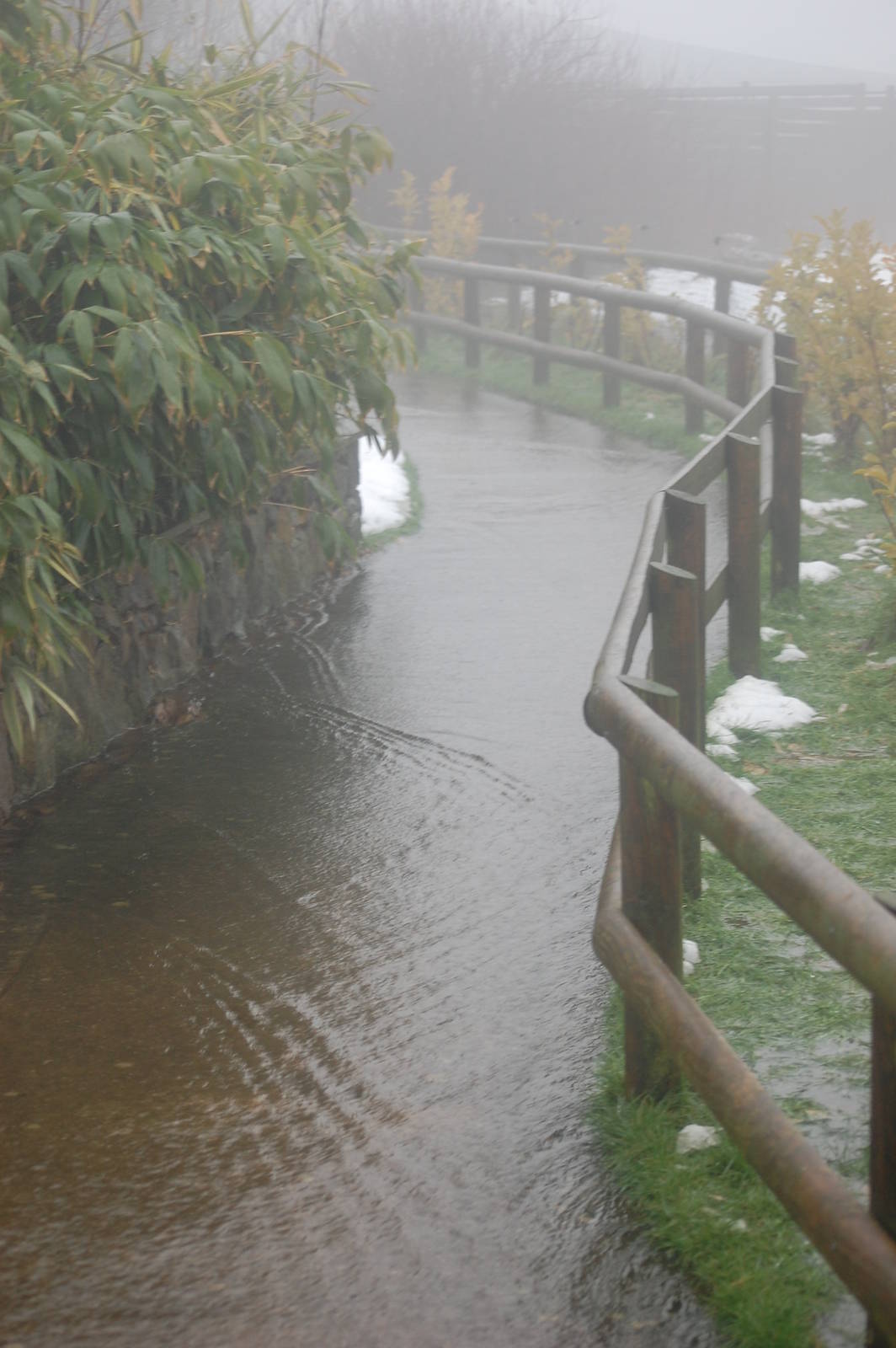 Path Next to "Pelican World" under 2 inches of water!