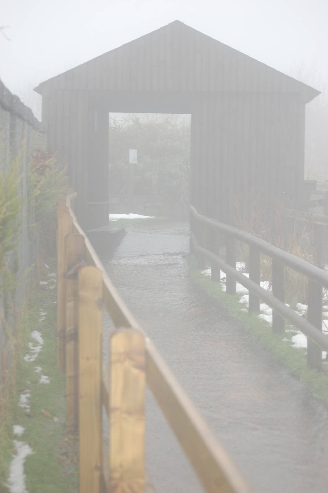 Path Next to "Pelican World" under 2 inches of water!