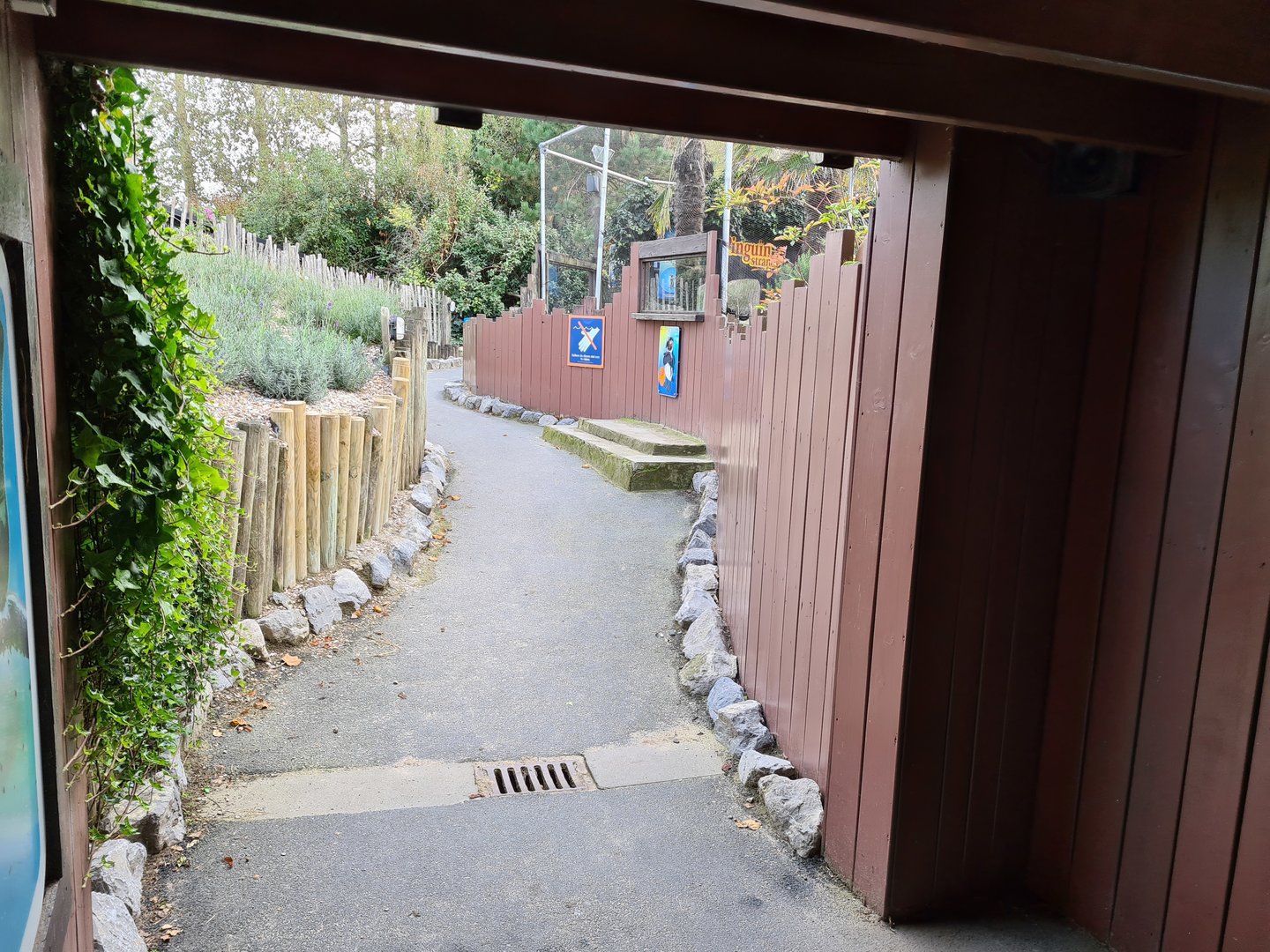 Path next to penguin enclosure