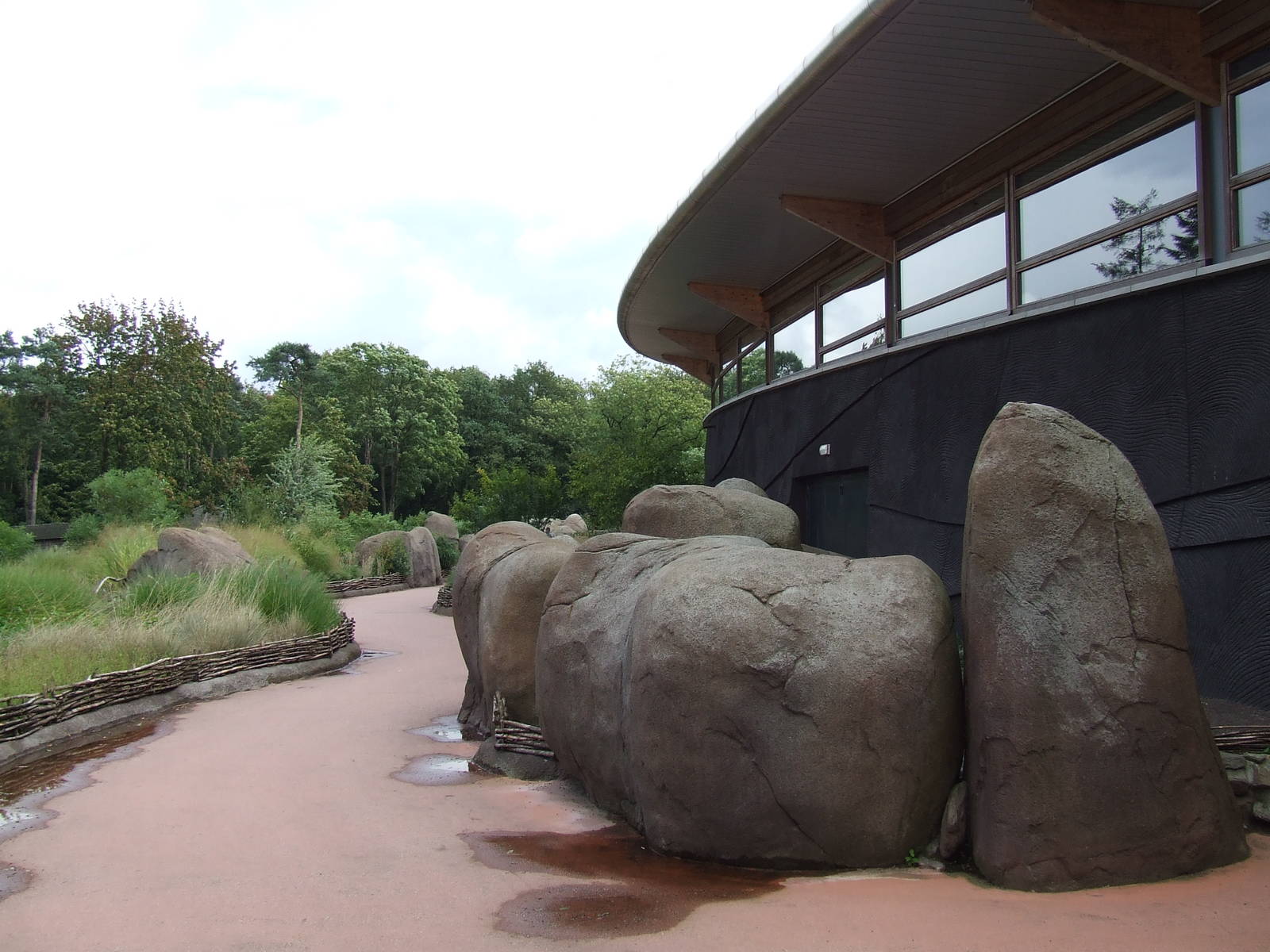 Path, Savanna, Burgers Safari