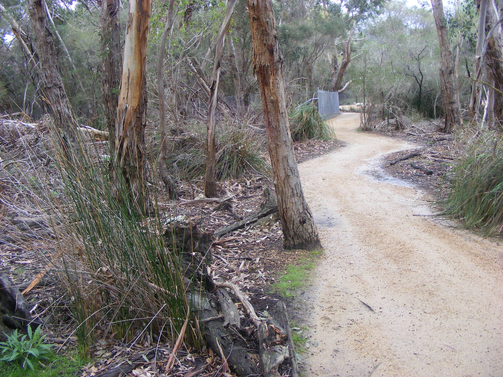 Path - September, 2009