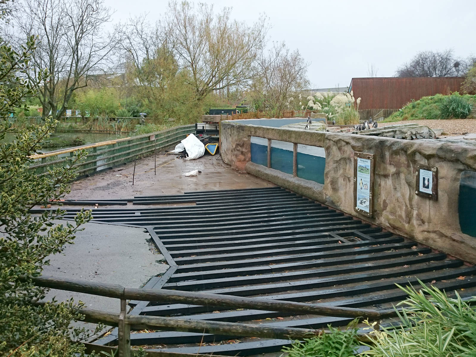 Path Surface Replacement - 07/11/2014