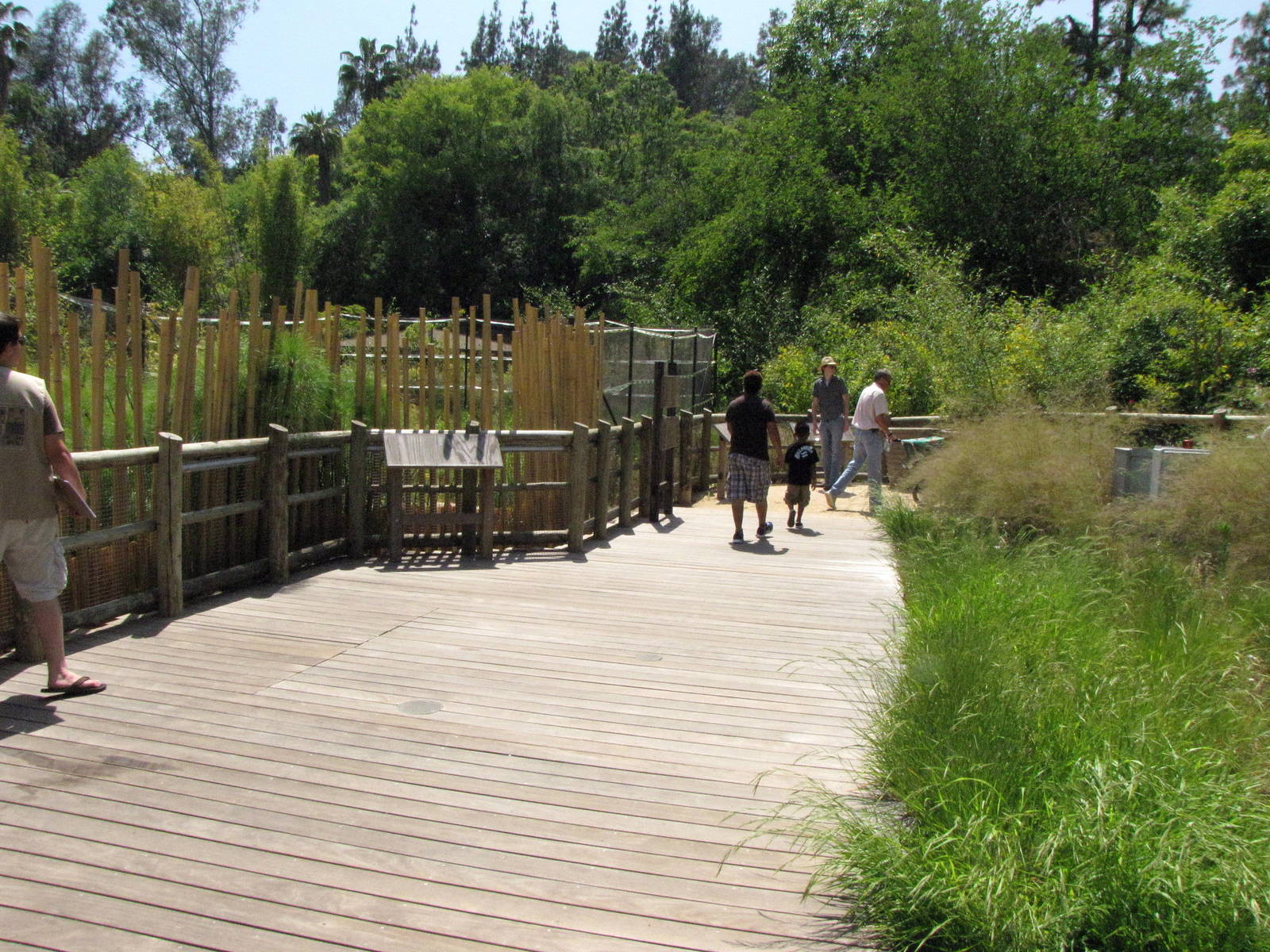 Path Through Elephants of China Viewing Area