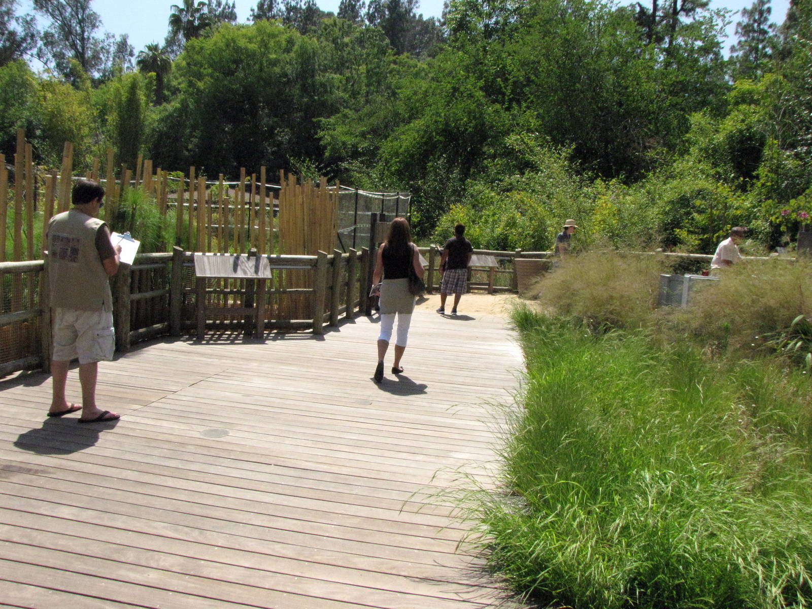 Path Through Elephants of China Viewing Area