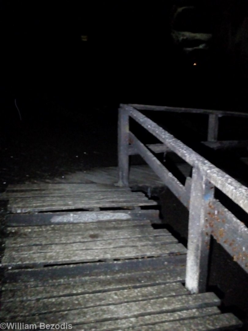 Path Through Gomantong Cave