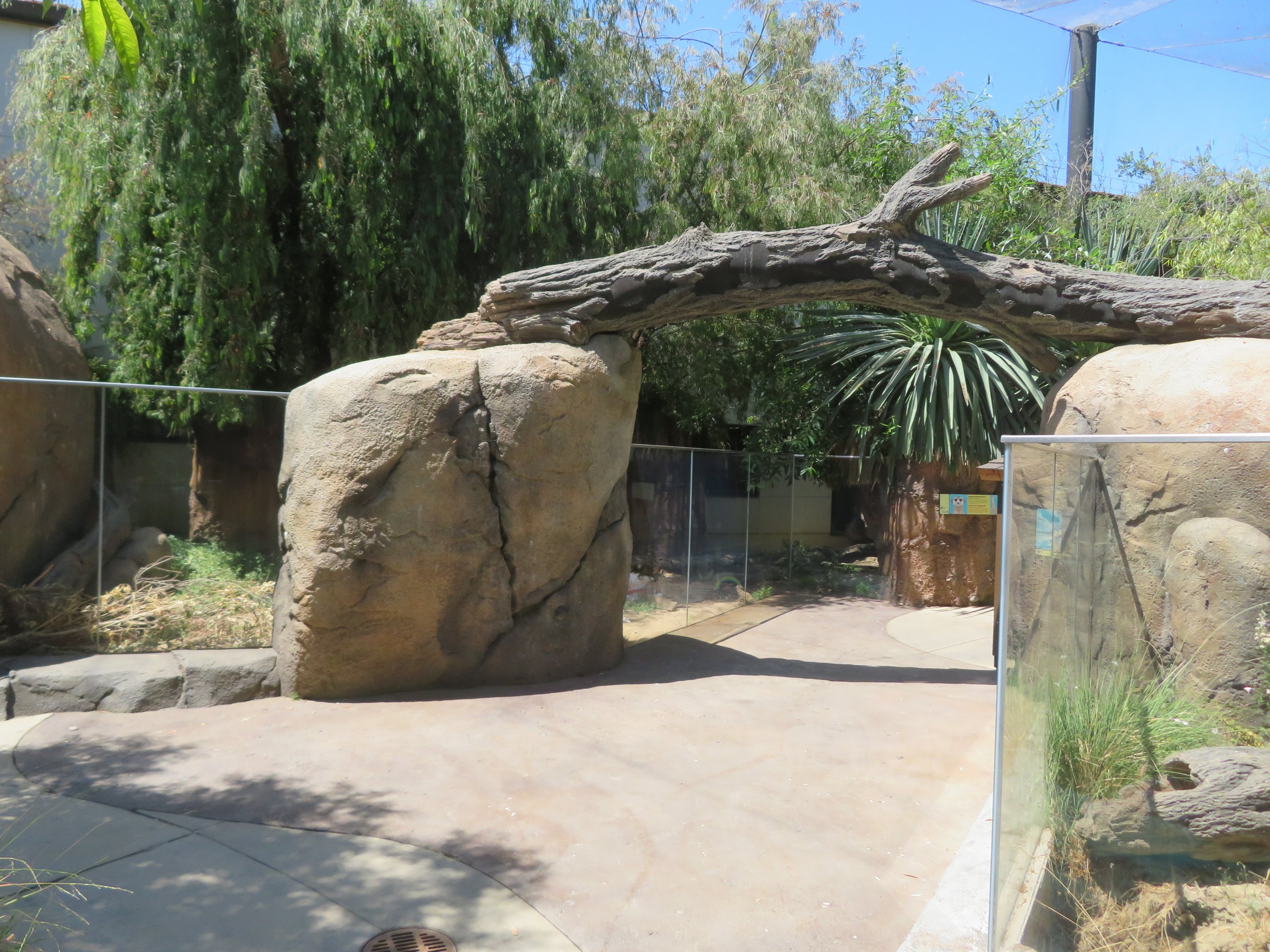 Path Through Meerkat Exhibits