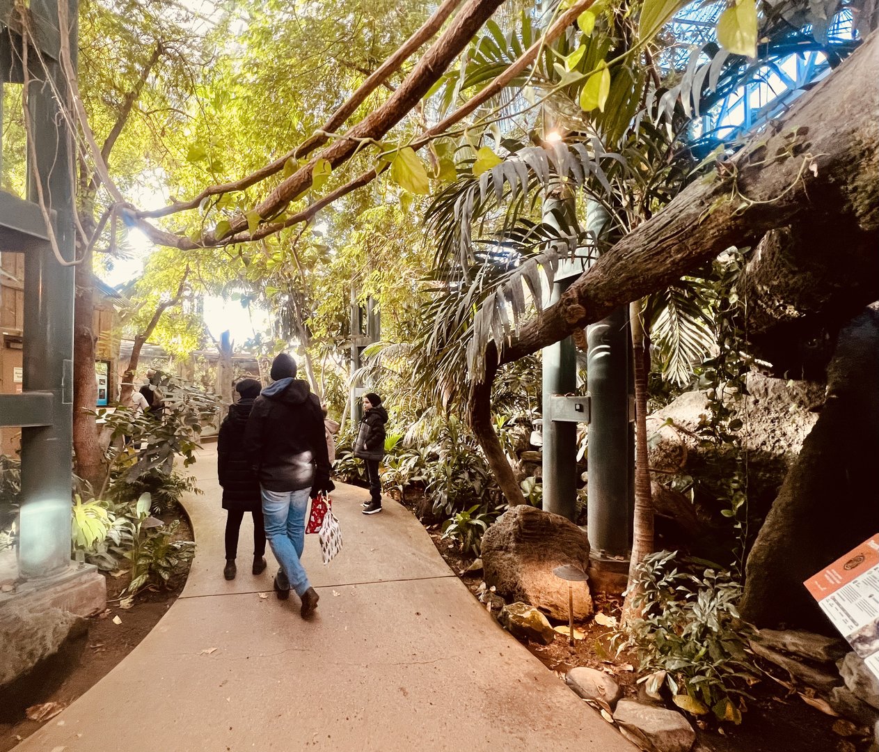 Path through the African Rainforest Exhibits