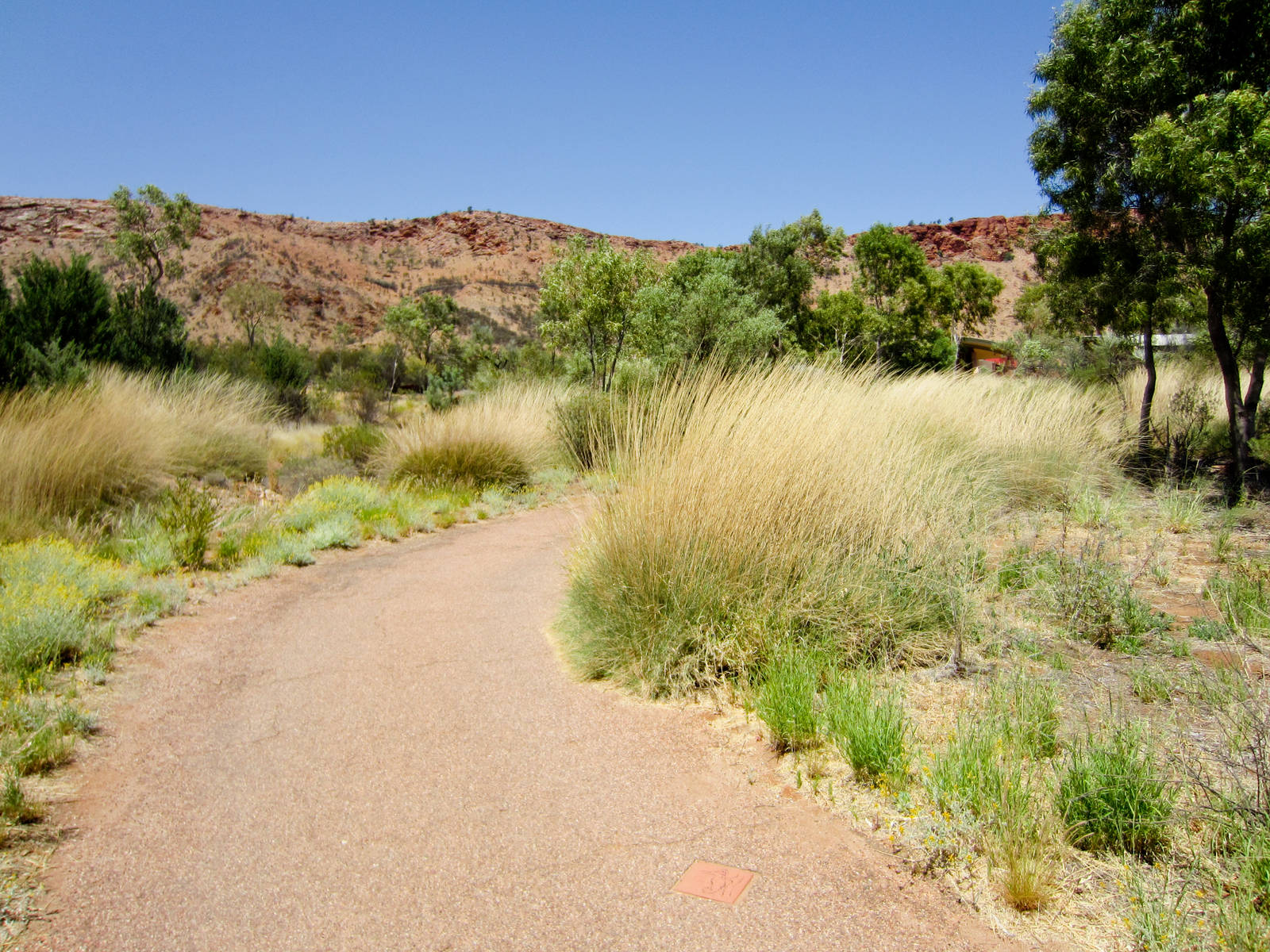 Path through the Desert Park