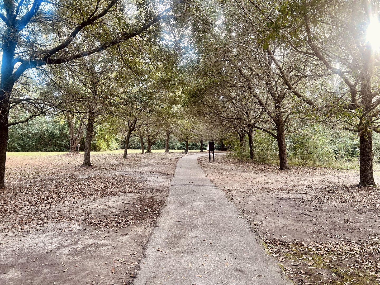 Path through the Park