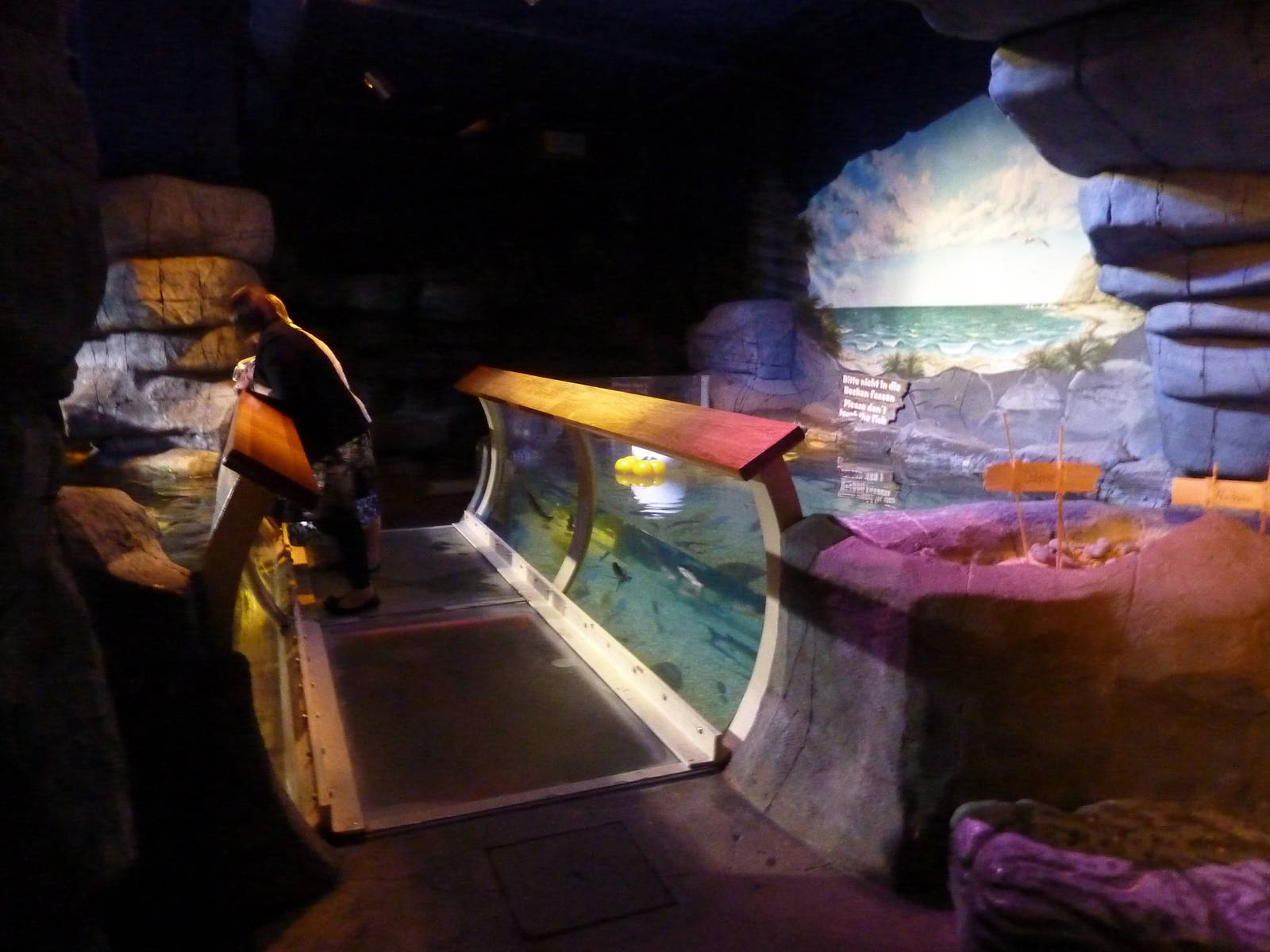 Path through the ray tank