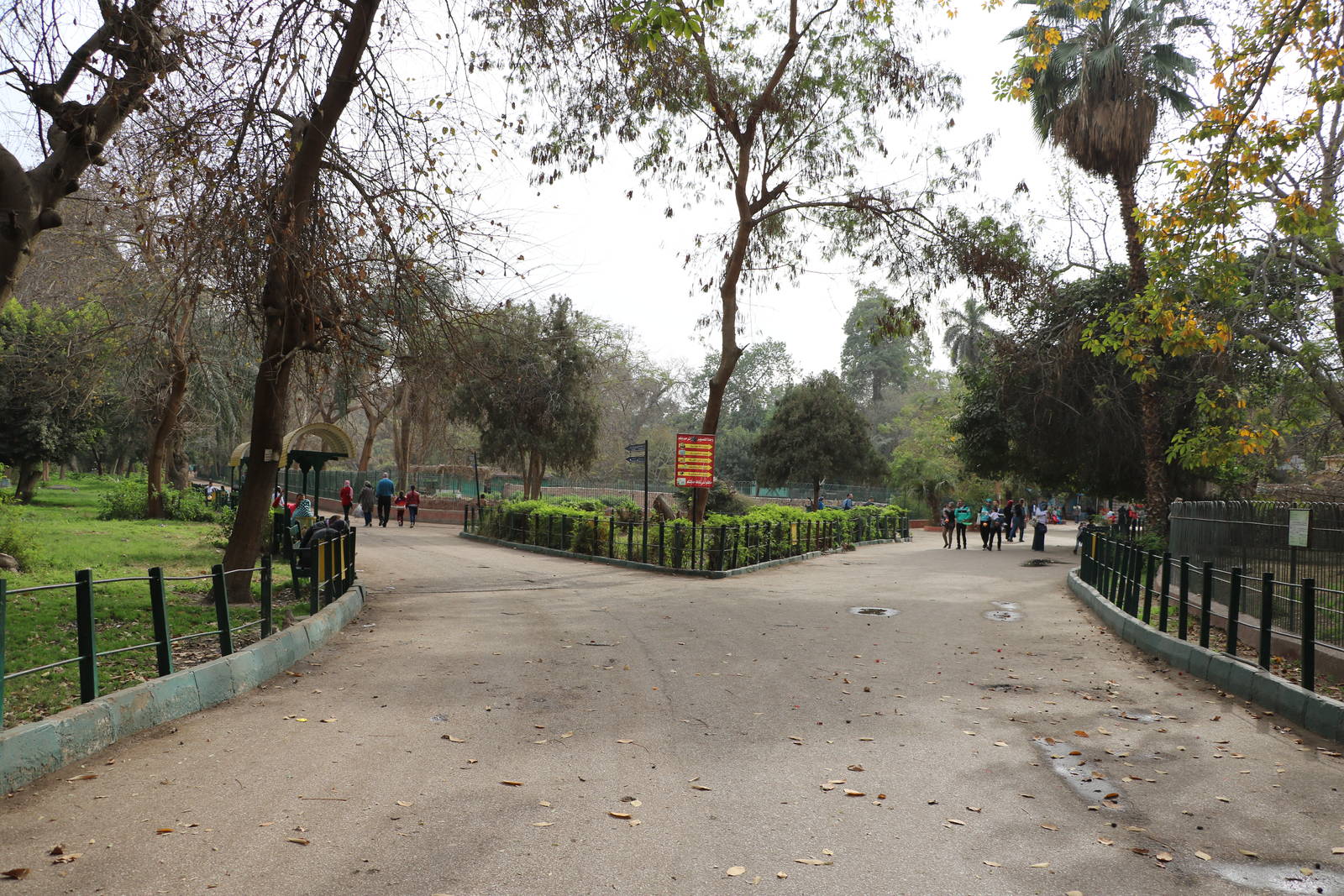 Path through the zoo, February 2016