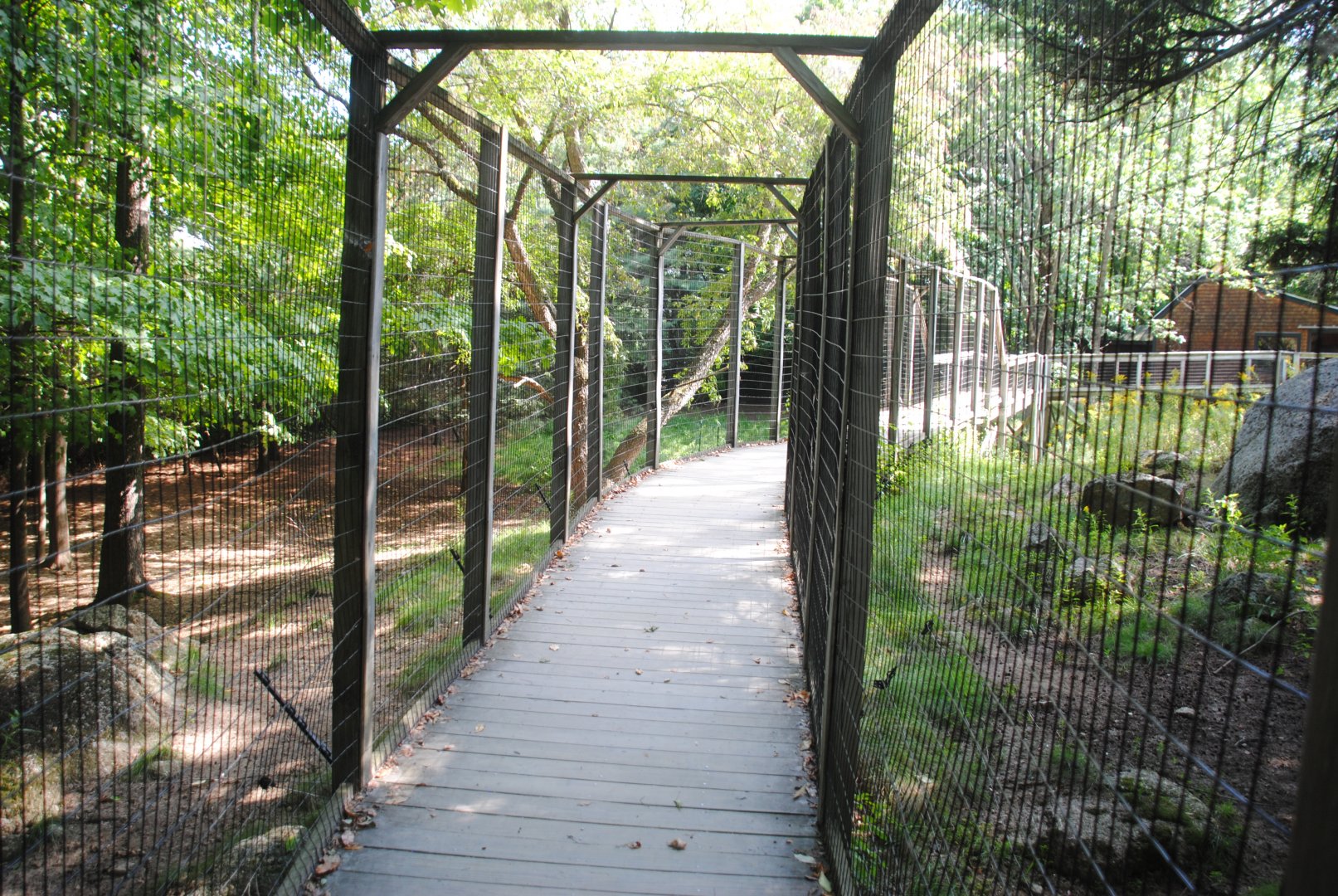 Path through White-tailed Deer exhibit